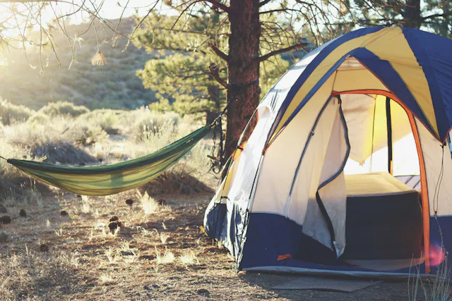 A dome tent and green hammock set up in the woods on a camping trip.