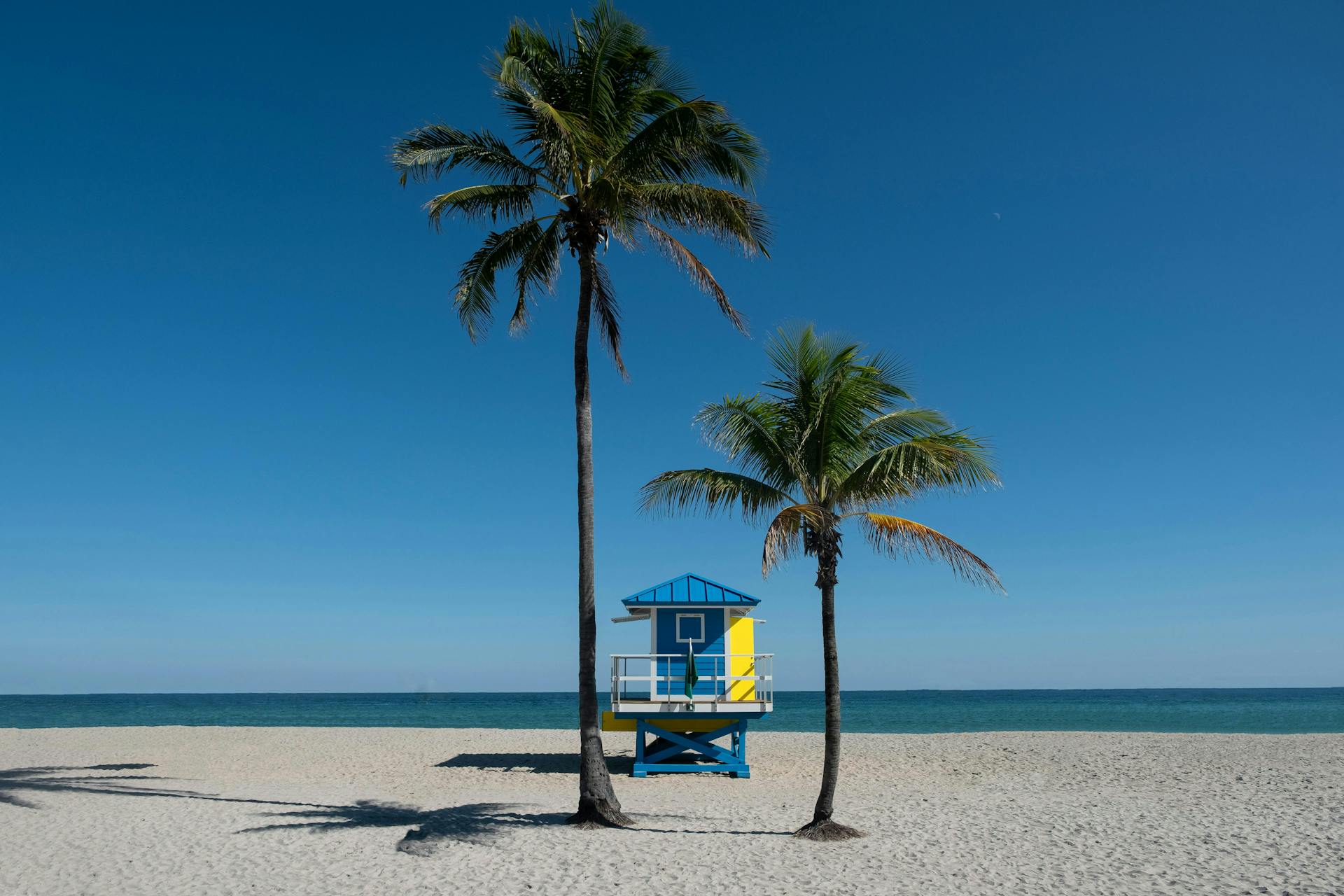 A lifeguard shack between two palm trees on Hollywood Beach in Tallahassee, Florida.