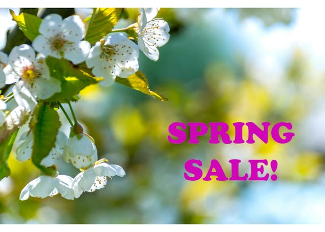 StoreEase Spring Sale