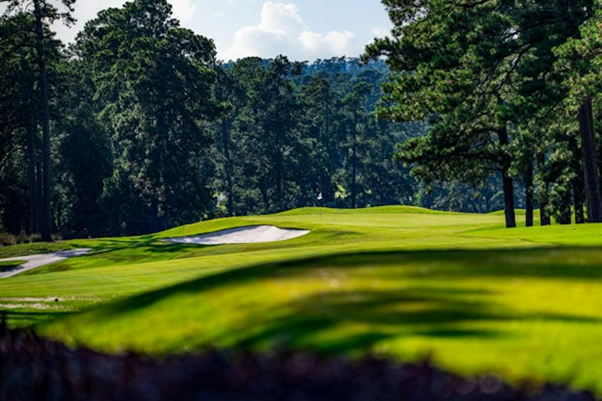 Fairway and green at Forest Hills golf course in Augusta, GA