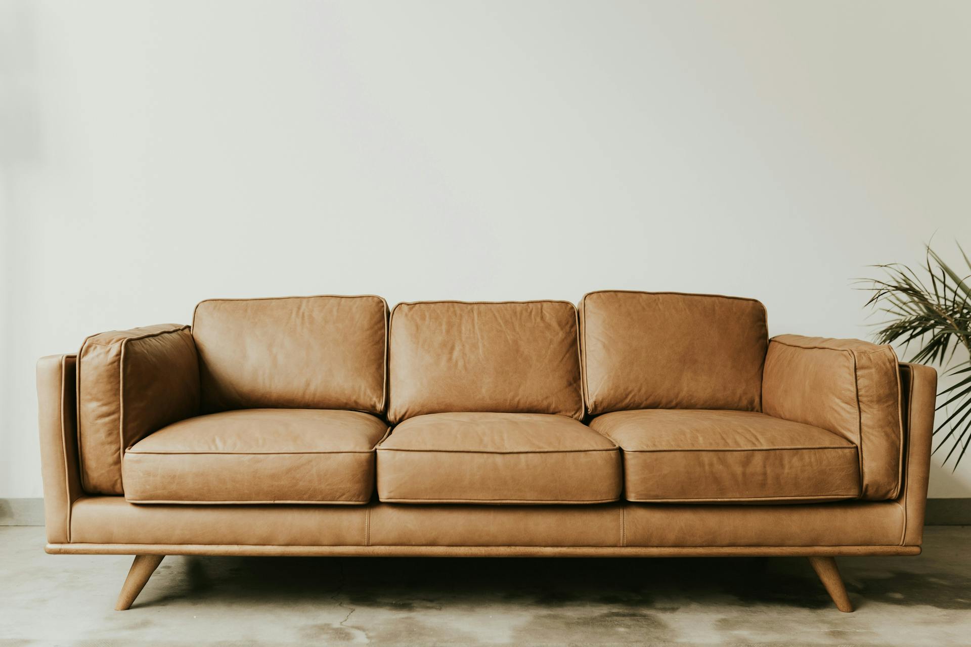 A leather couch with wooden legs next to a plant