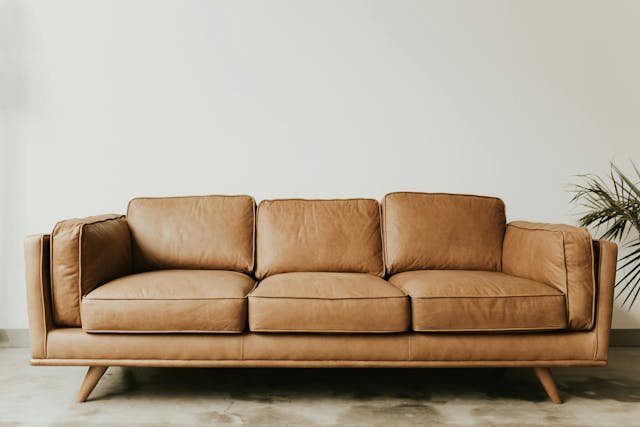 A leather couch with wooden legs next to a plant
