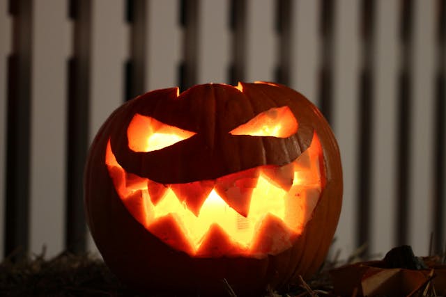 A Jack-O-Lantern on the ground in front of a white fence