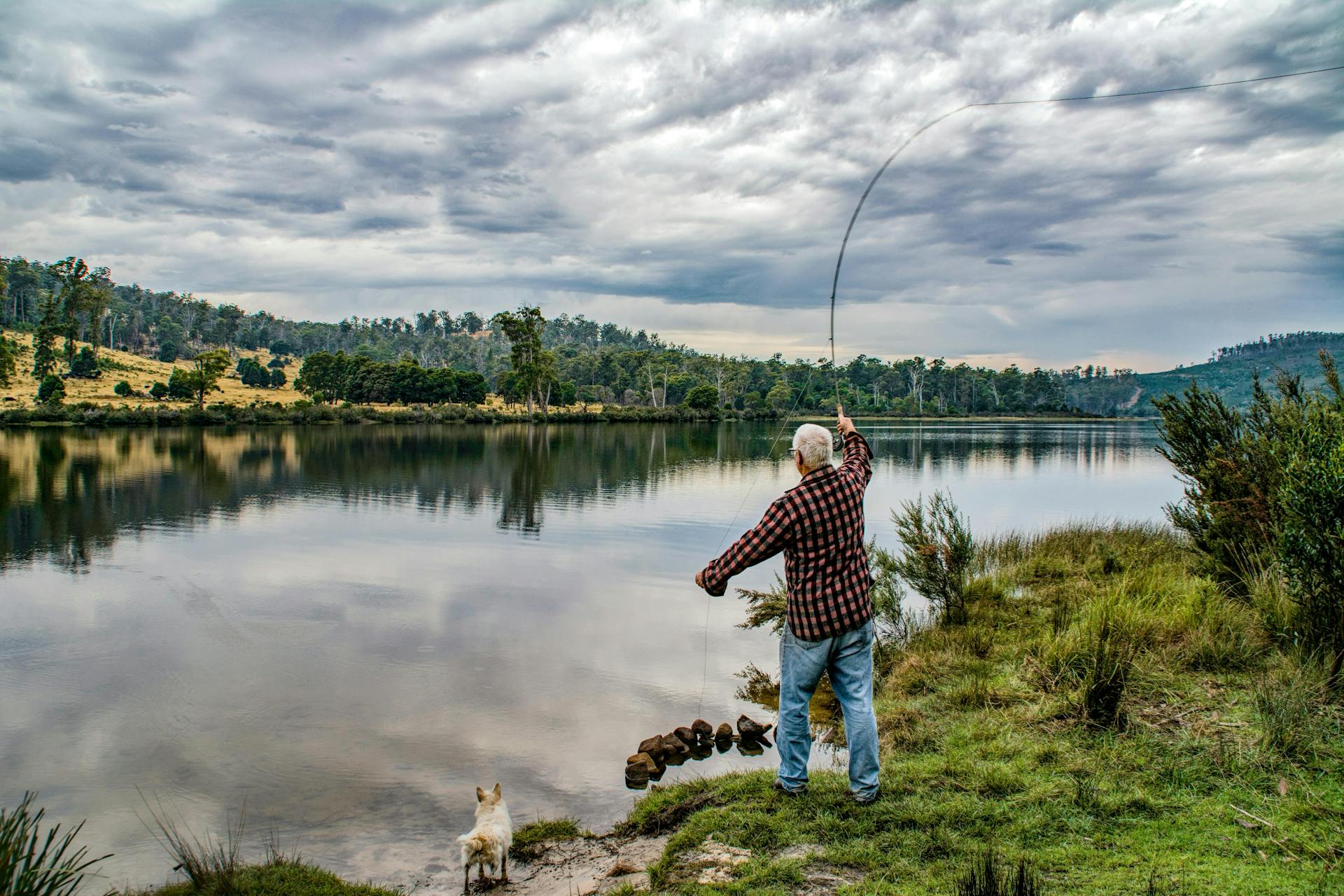 a man fishing from the bank of a lake with his dog
