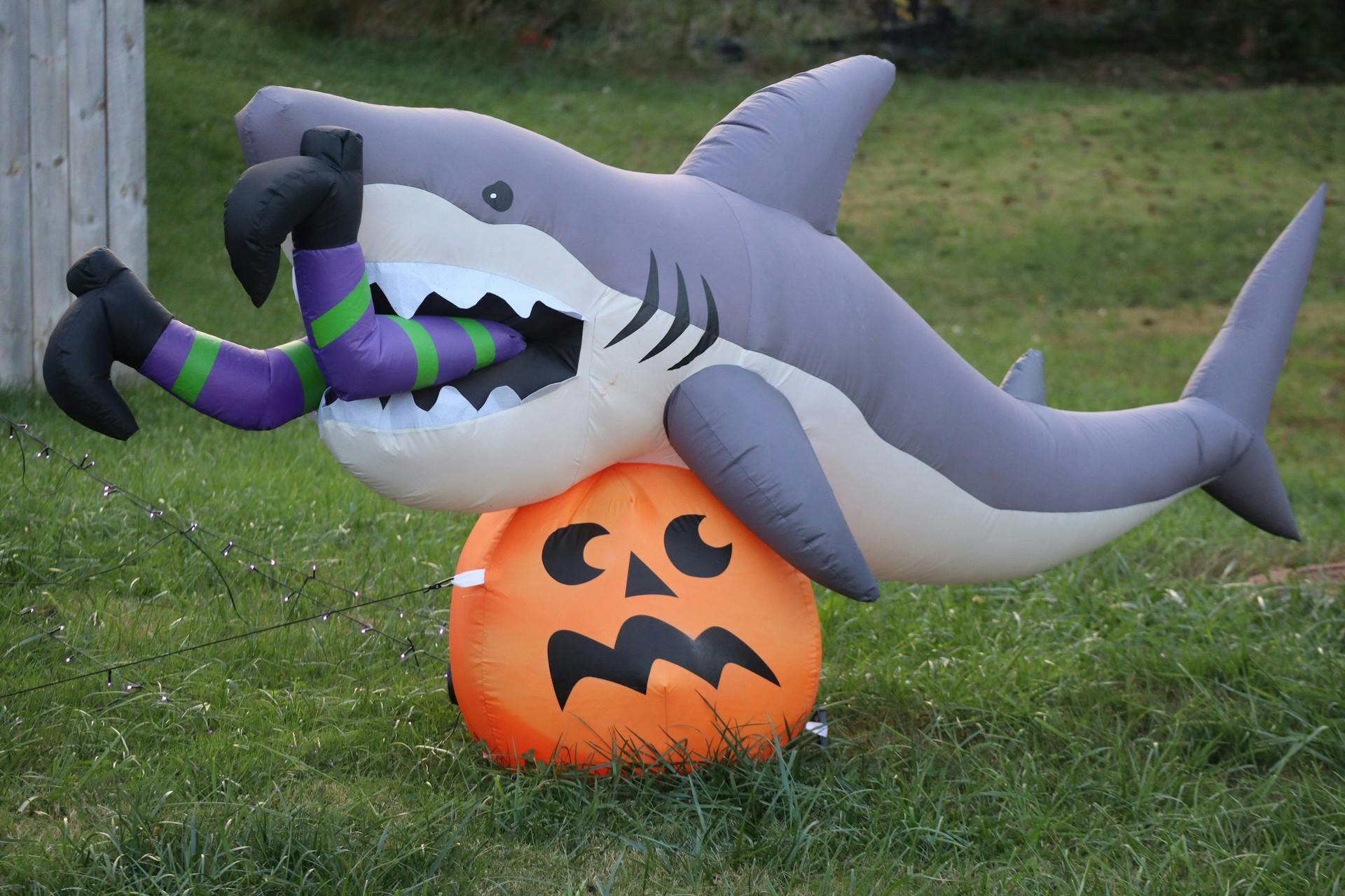 An inflatable shark sitting on a pumpkin while eating a witch