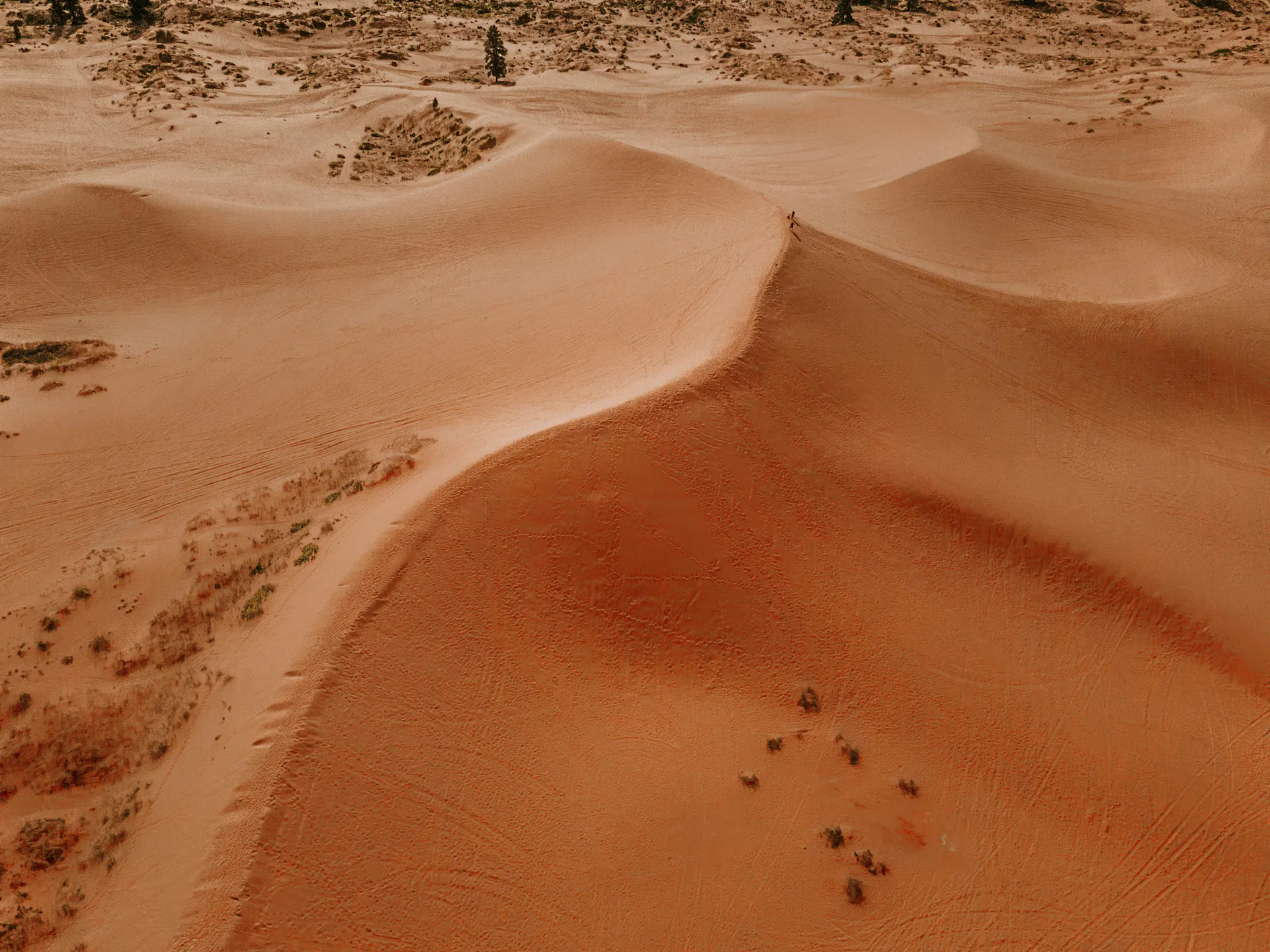 Idaho sand dunes.}