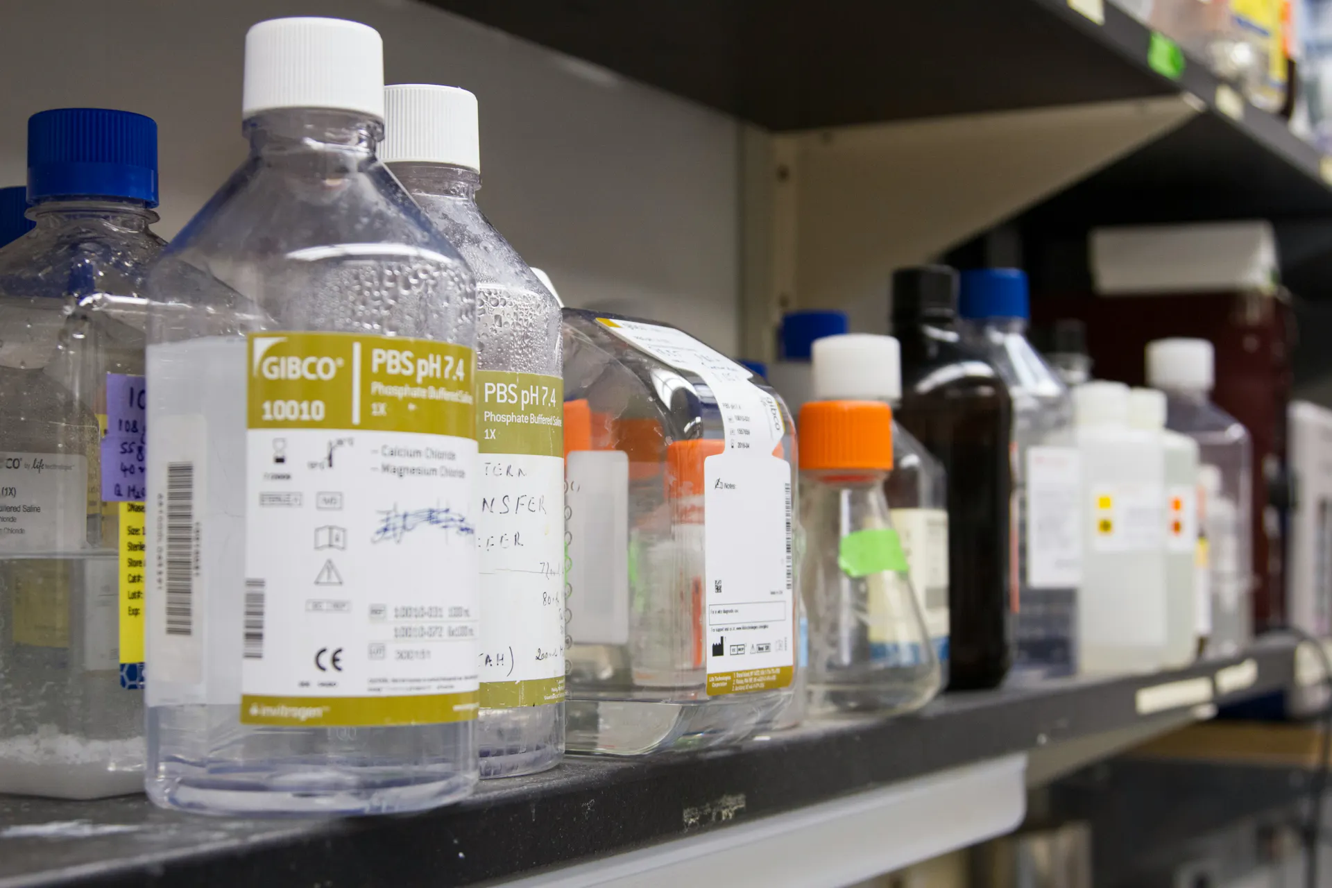 Multiple bottles of various chemicals on a storage shelf.