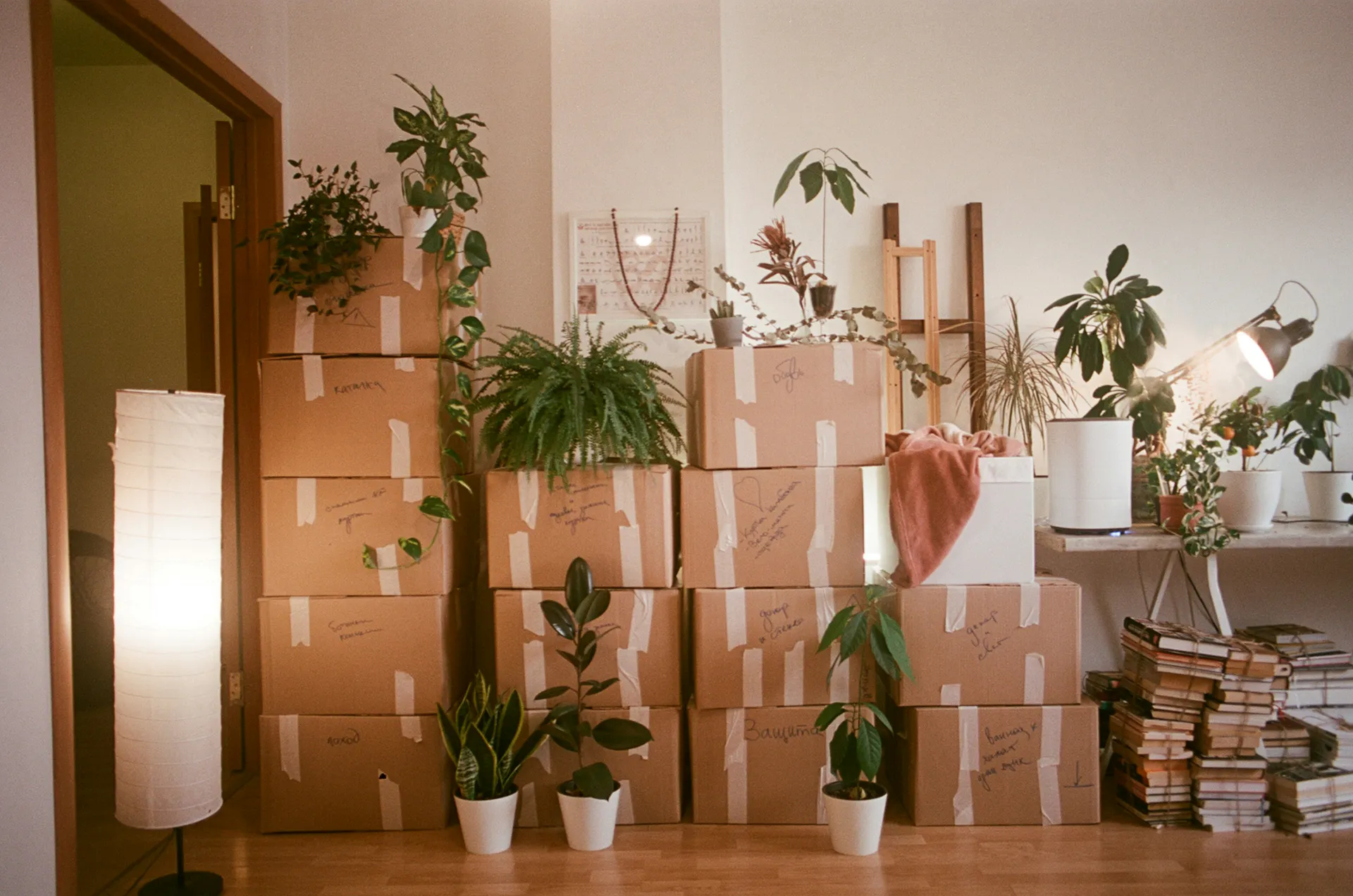 Boxes packed and ready for a cross-country move.