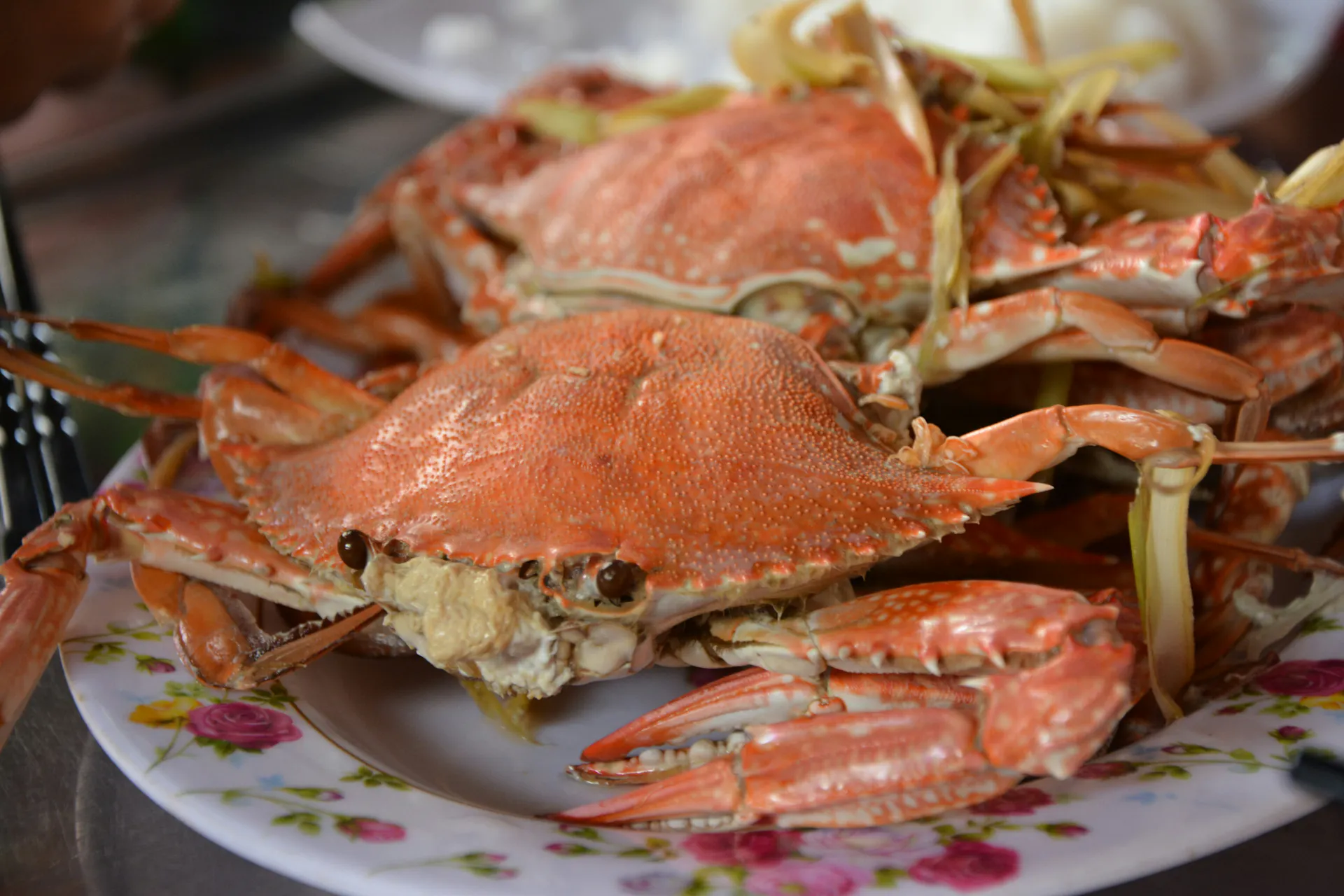 A close-up of cooked crab on a decorative plate.
