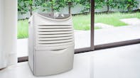 Dehumidifier sitting by window