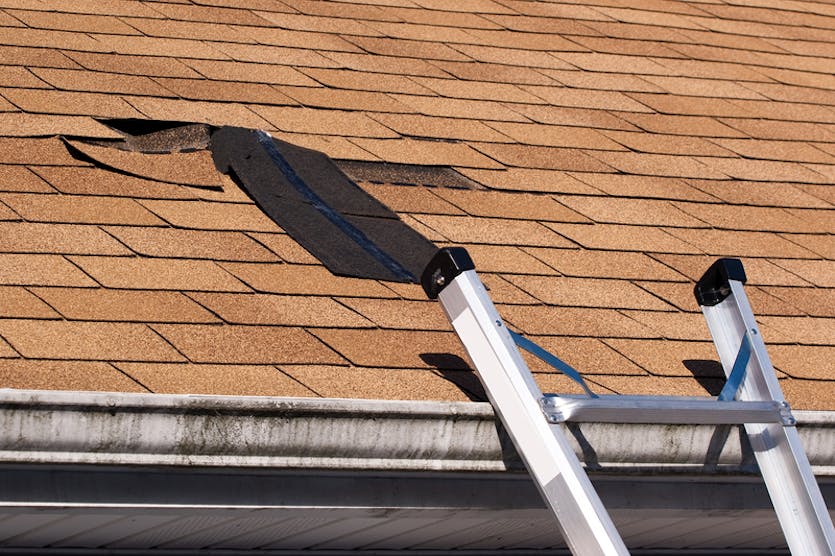 ladder with damaged roof