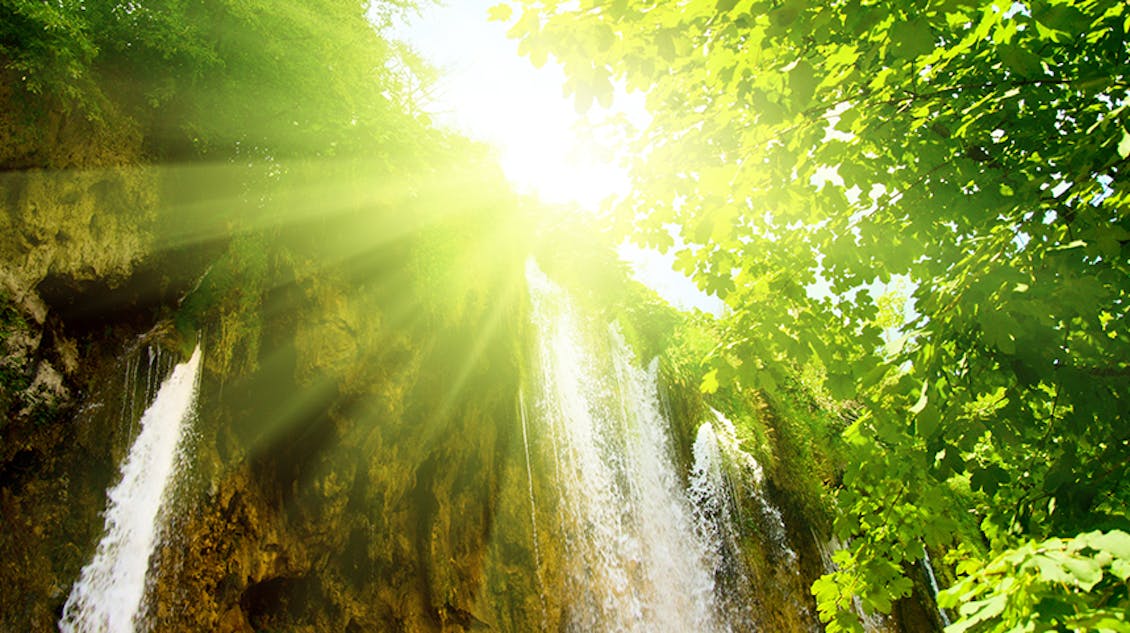 Sunshine gleaming through a hole between tall trees