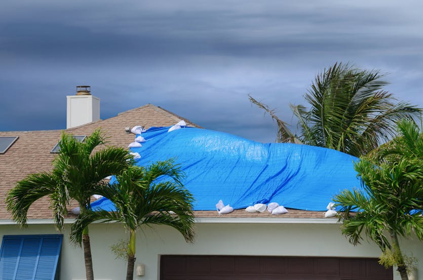 tarp on roof