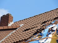 Damaged roof shingles