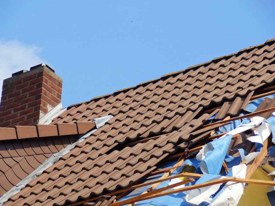 Damaged roof shingles
