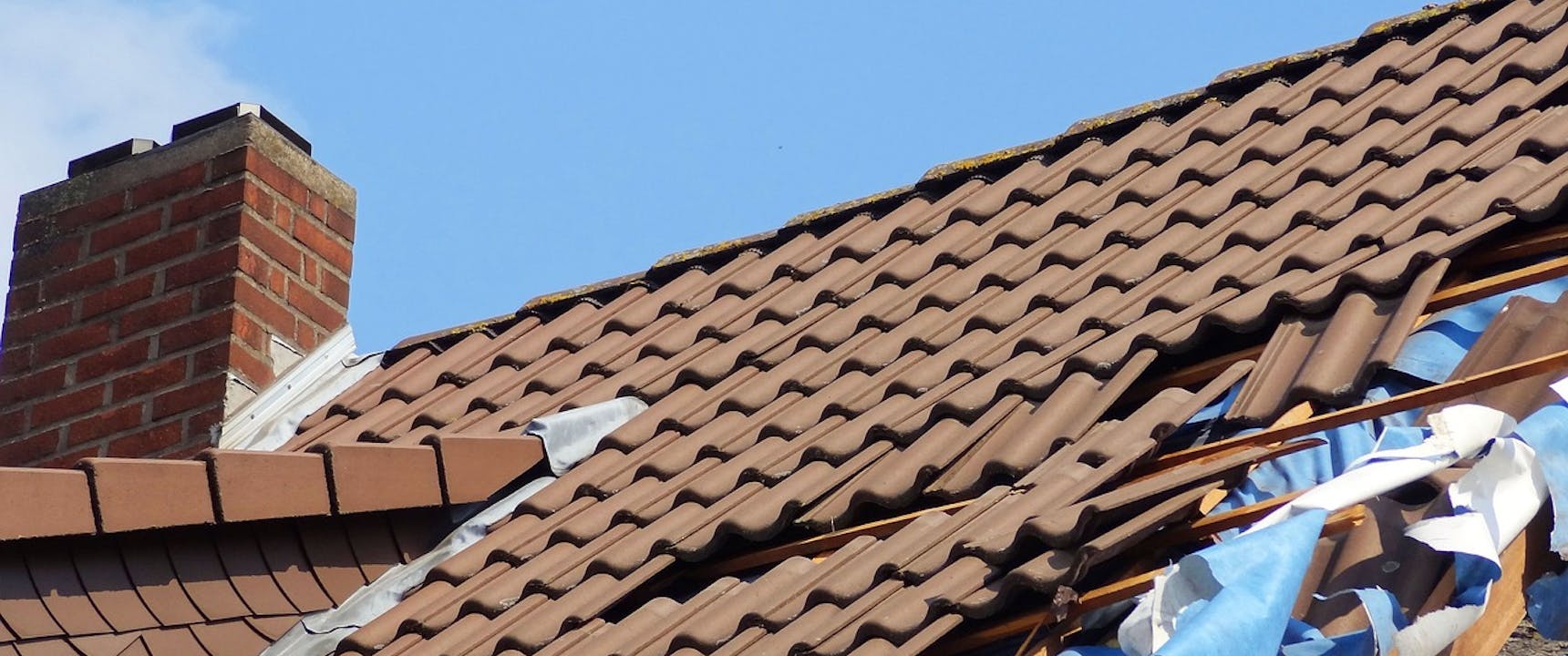 Damaged roof shingles