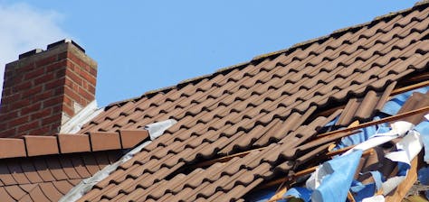 Damaged roof shingles