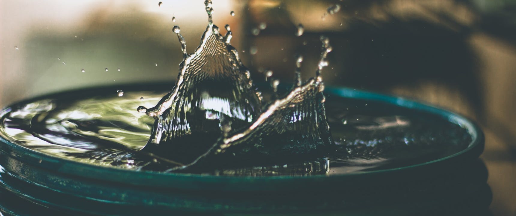 What to do if your roof is leaking