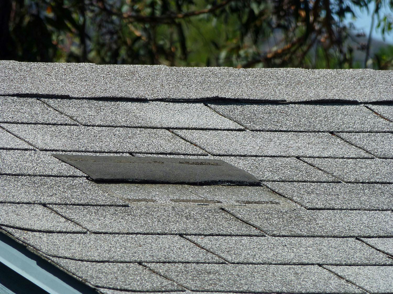 damaged shingle roof