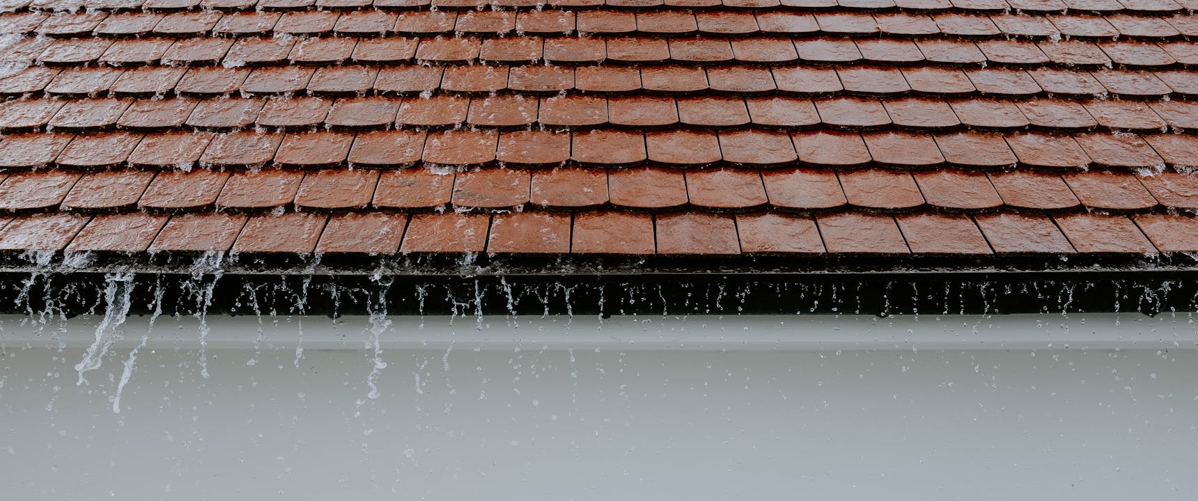What you should do when your roof is leaking.