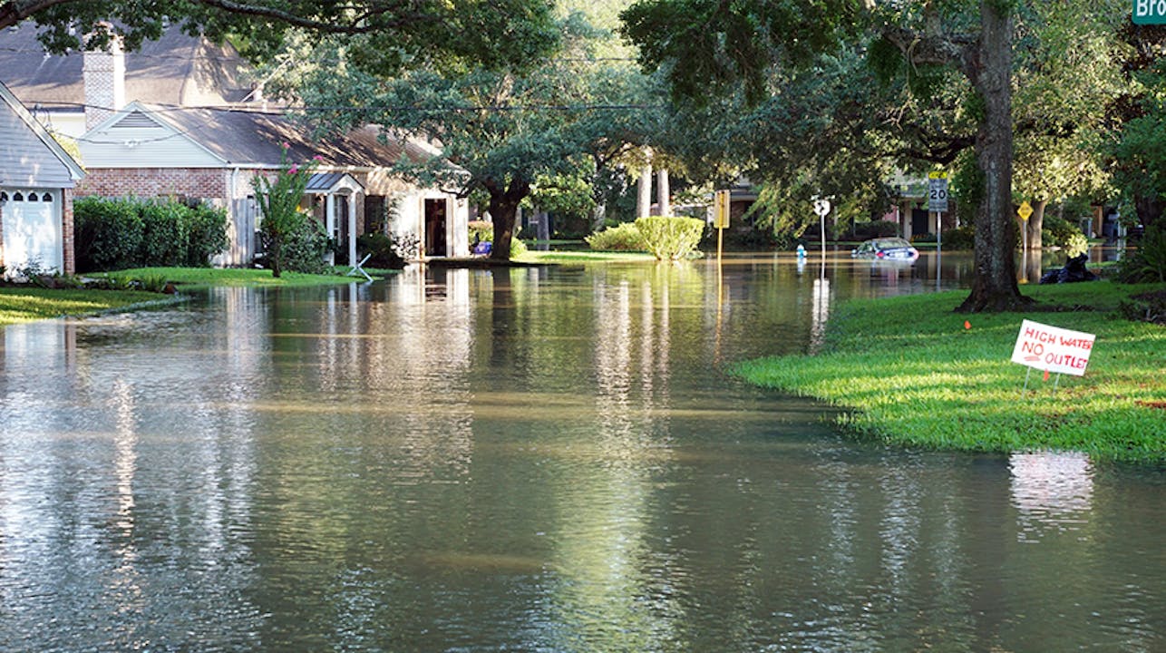 Water Damage Company Frisco Texas