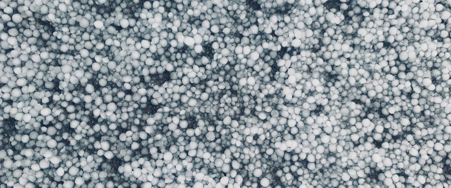 How to Know if You Have Hail Damage