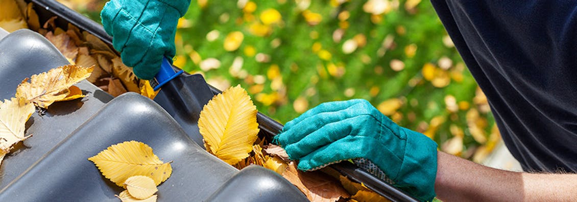 Person cleaning a gutter filled with fall leaves