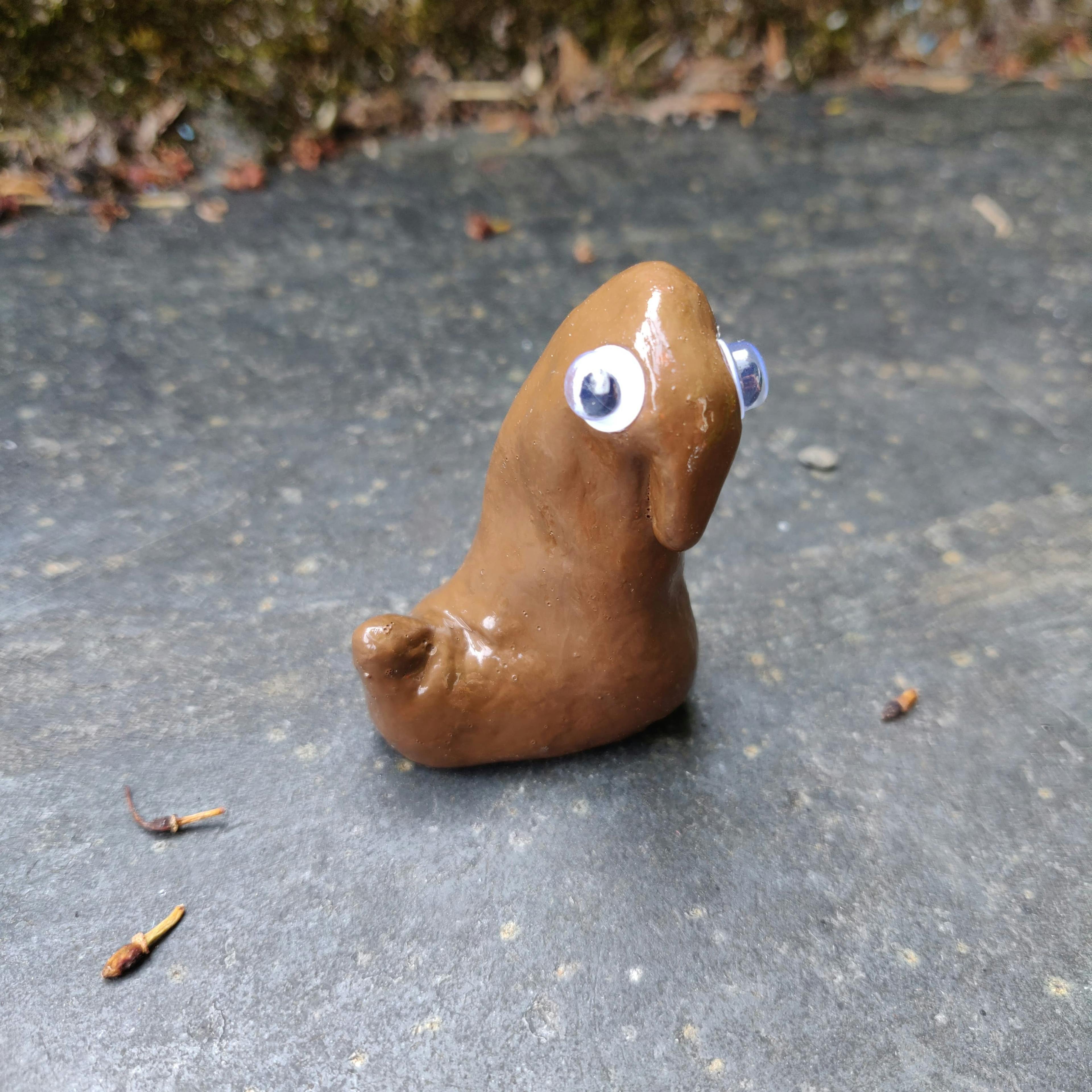 Pet Poo ®