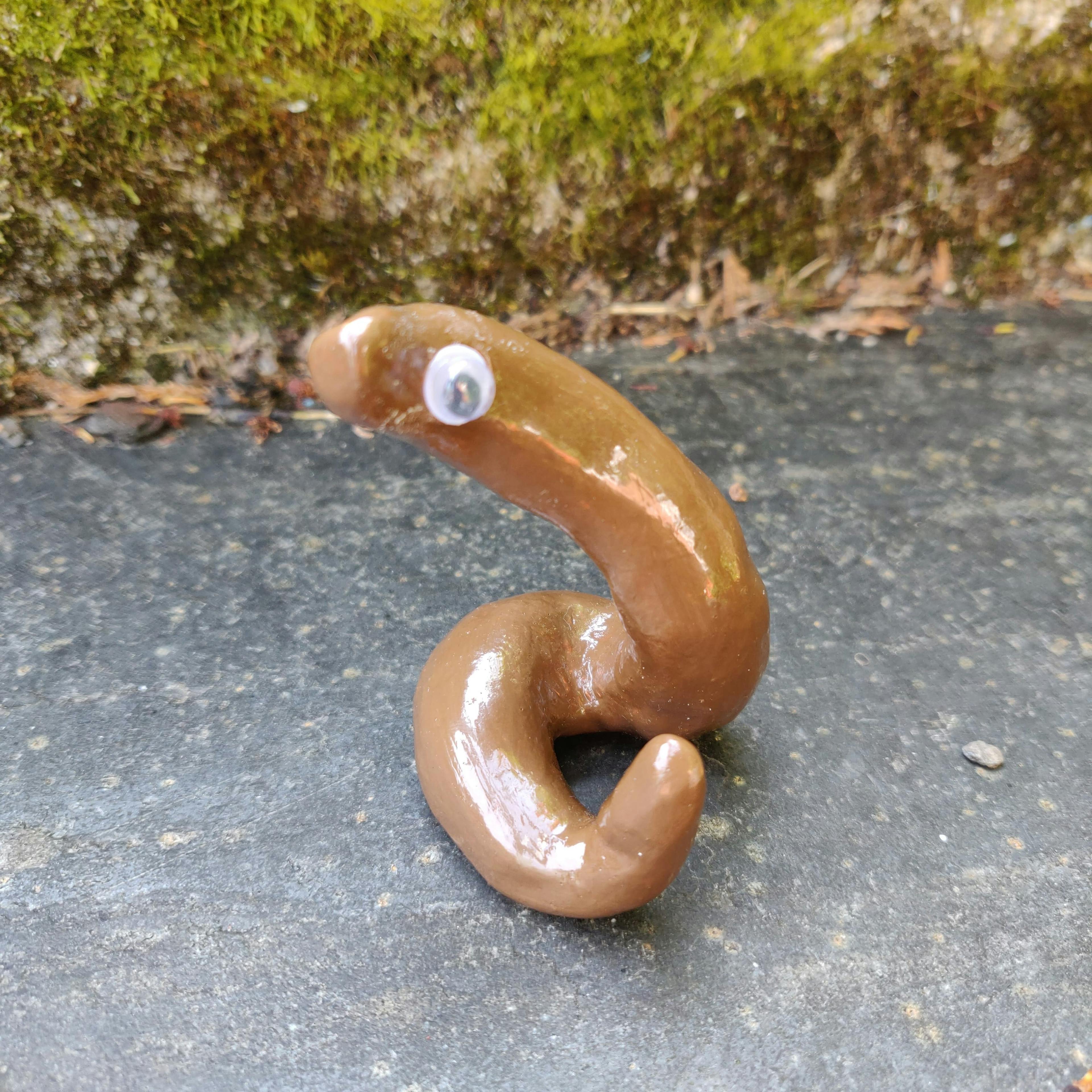 Pet Poo ®
