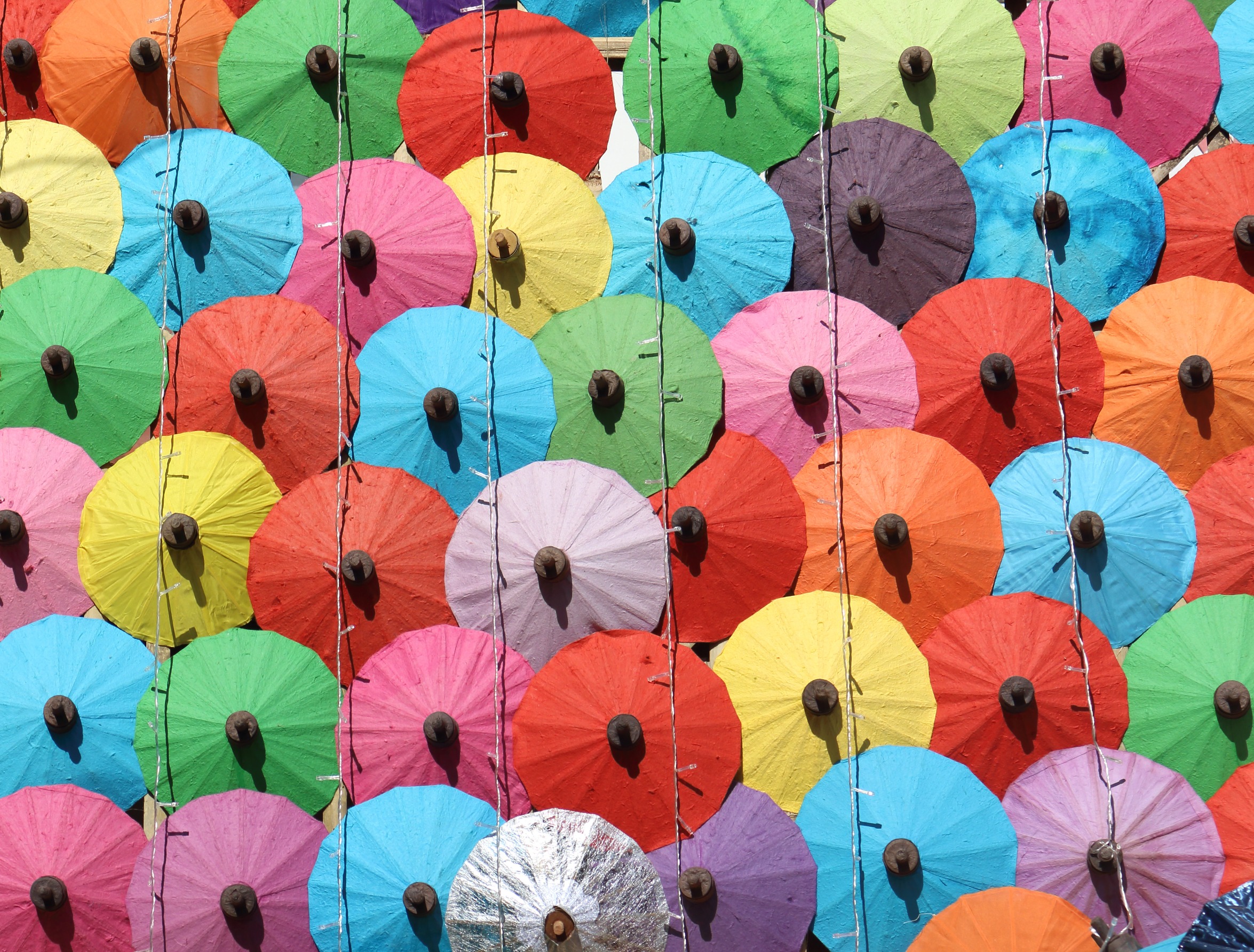 Journey Through the Letters: Spelling 'Asia' Correctly