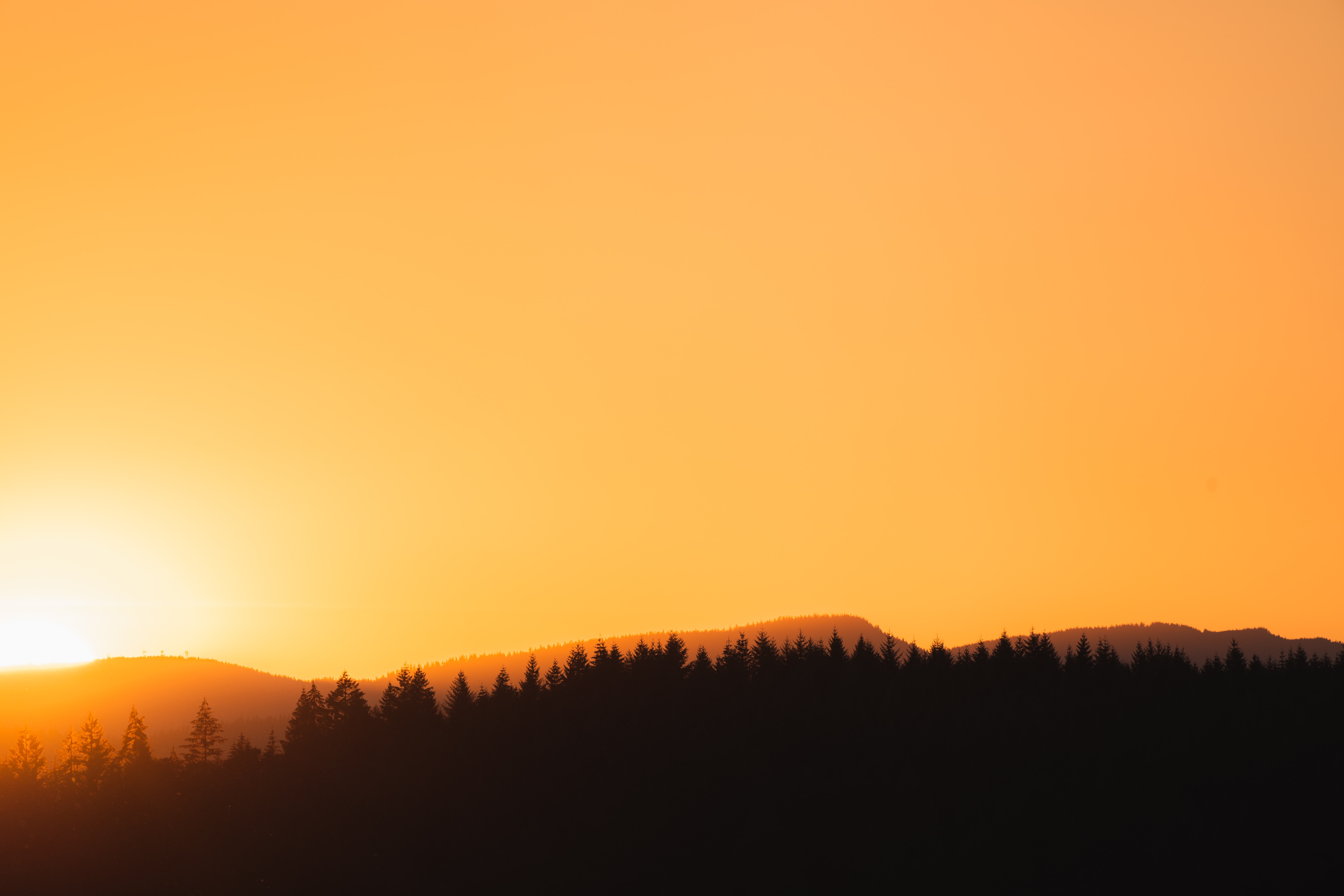 Navigating the Nuances: Today's vs Todays