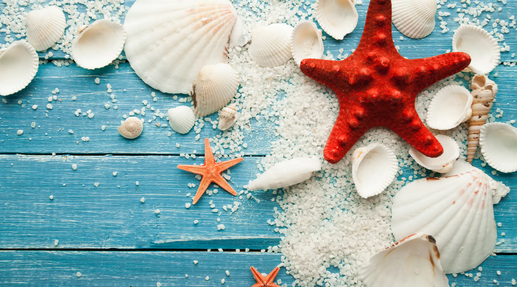 Payed vs. Paid: Understanding the Difference with Example Sentences