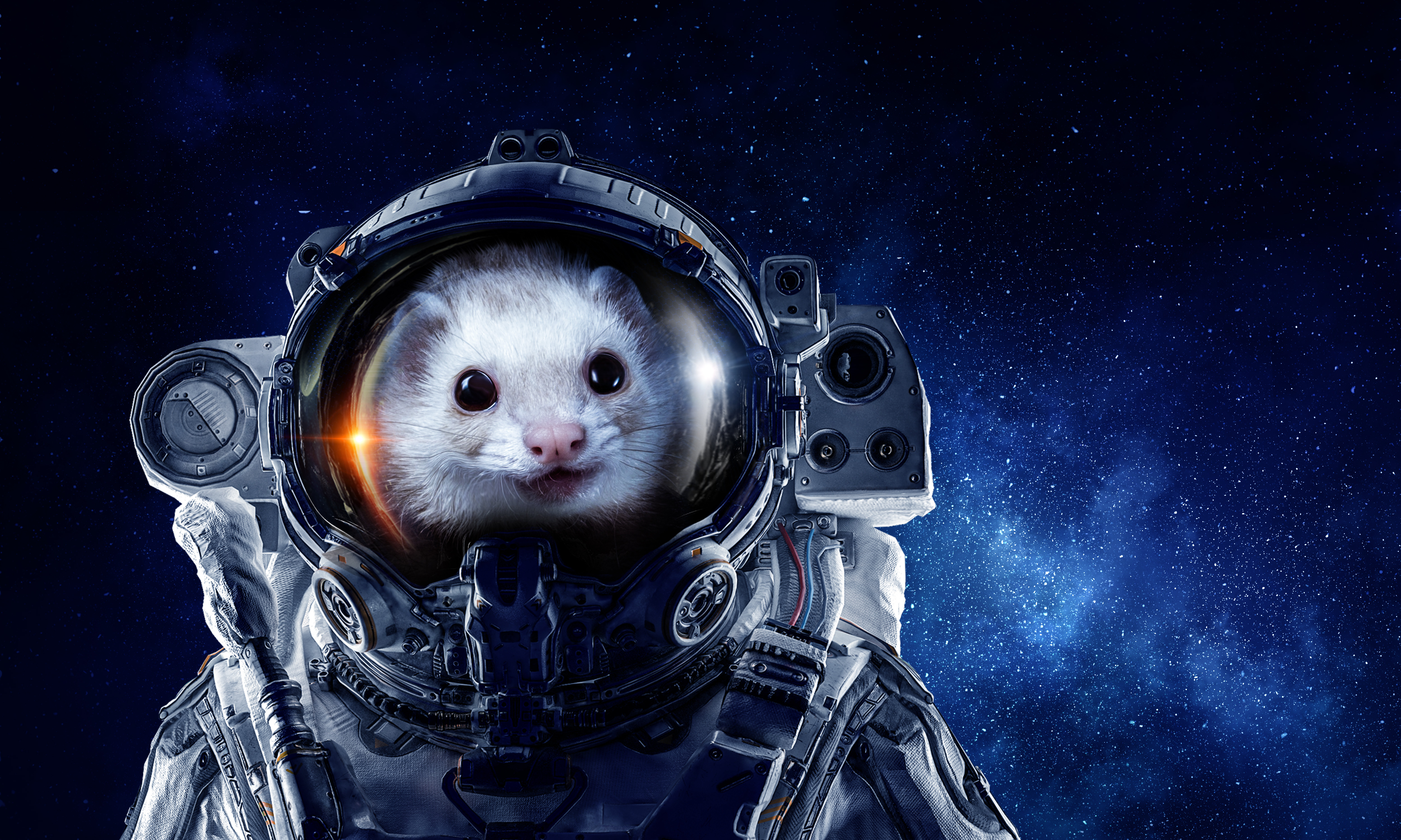 Mastering Spelling When to Use 'Mould' vs. 'Mold'