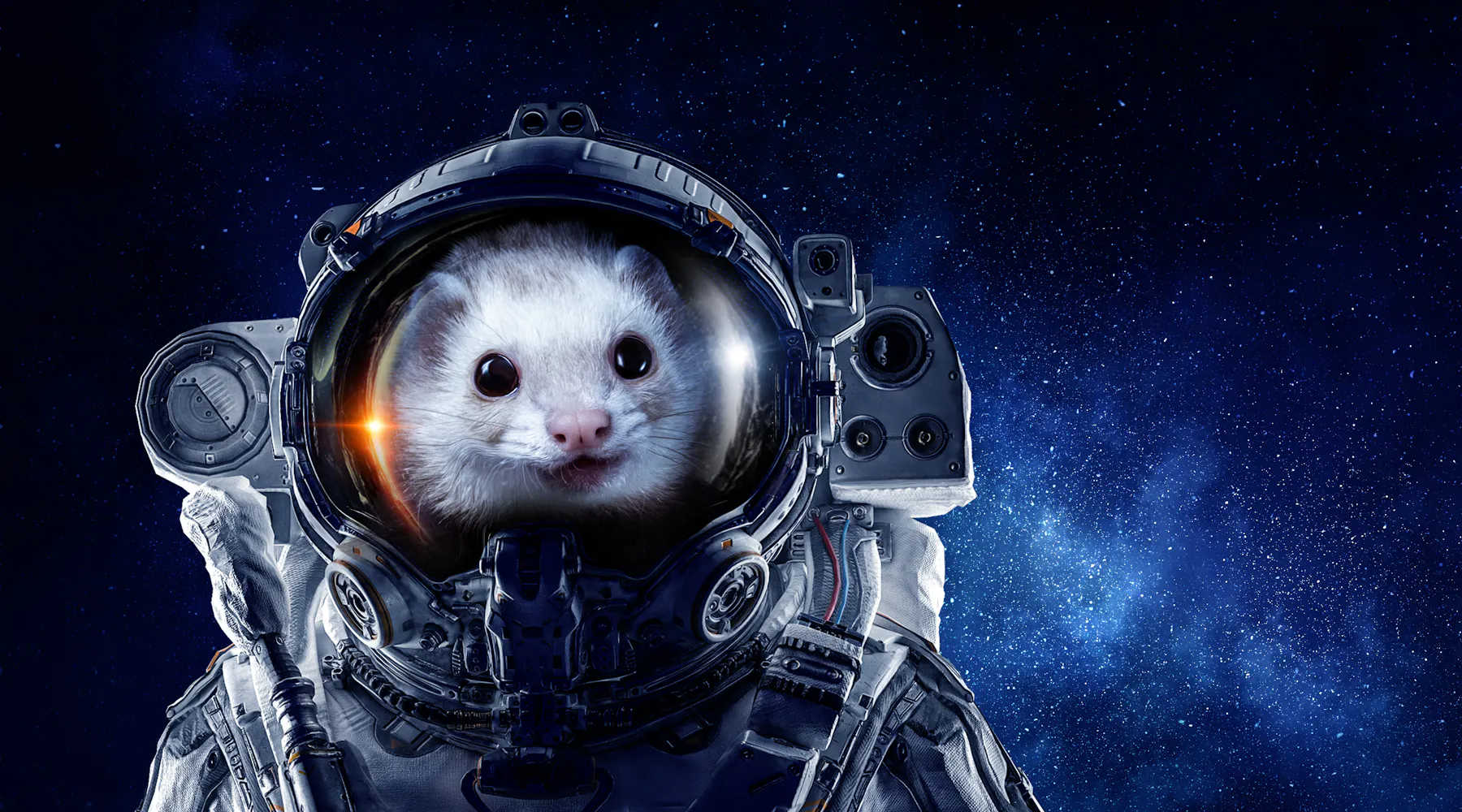 Opossum vs Possum: Understanding the Difference