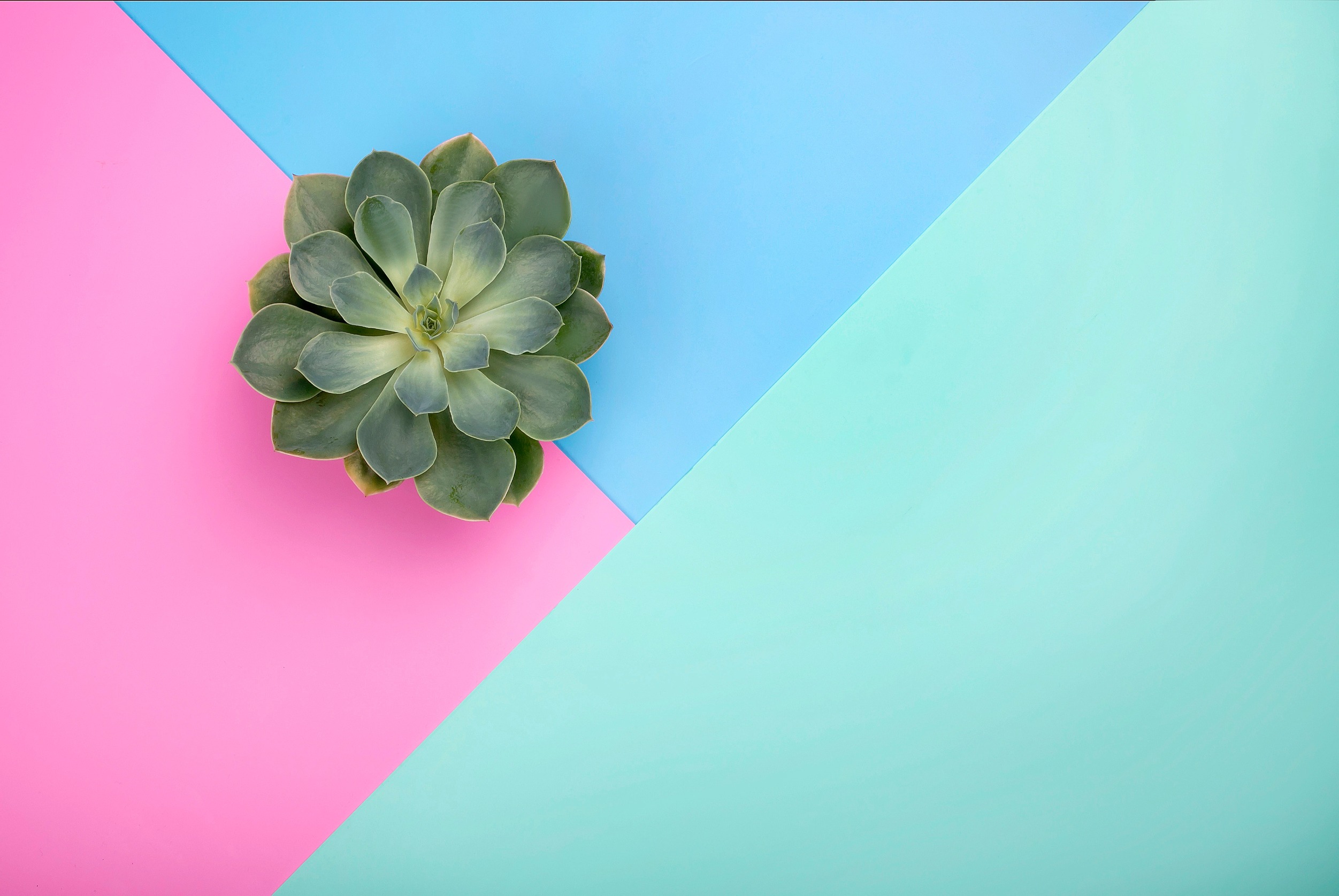 Coma vs Comma: Understanding Their Distinct Uses and Meanings