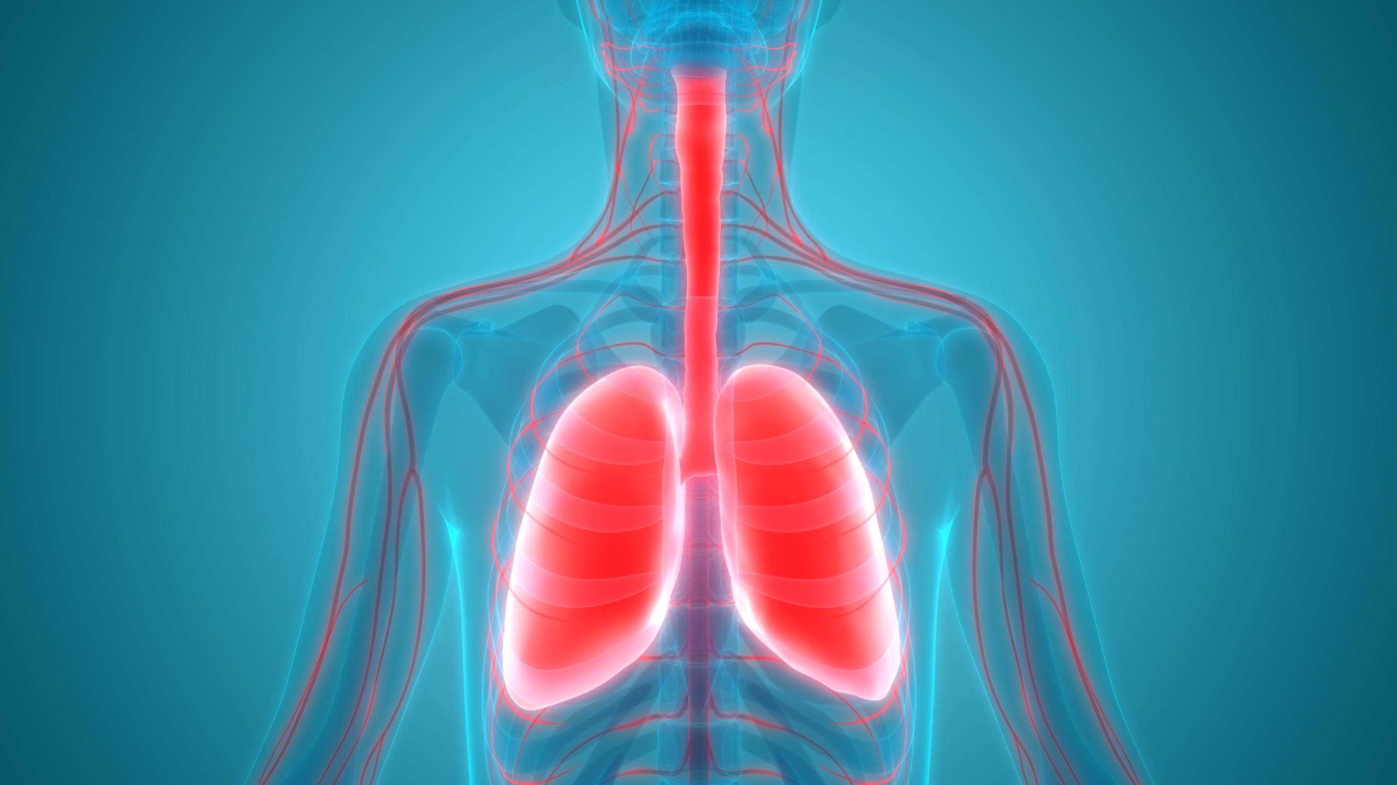 Spelling Guide: Master the Correct Spelling of 'Asthma'