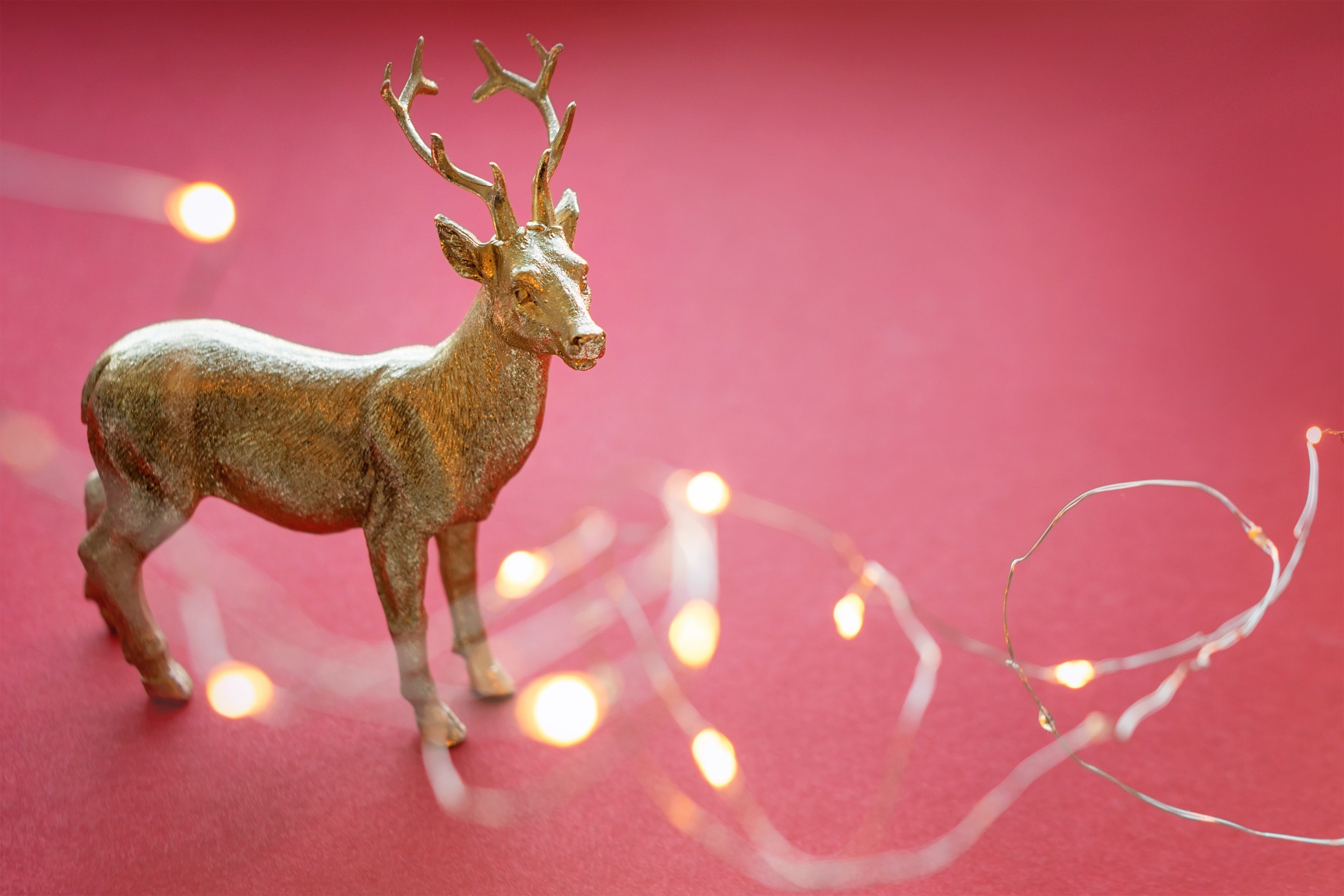 Rudolph: Mastering the Correct Spelling of the Iconic Name