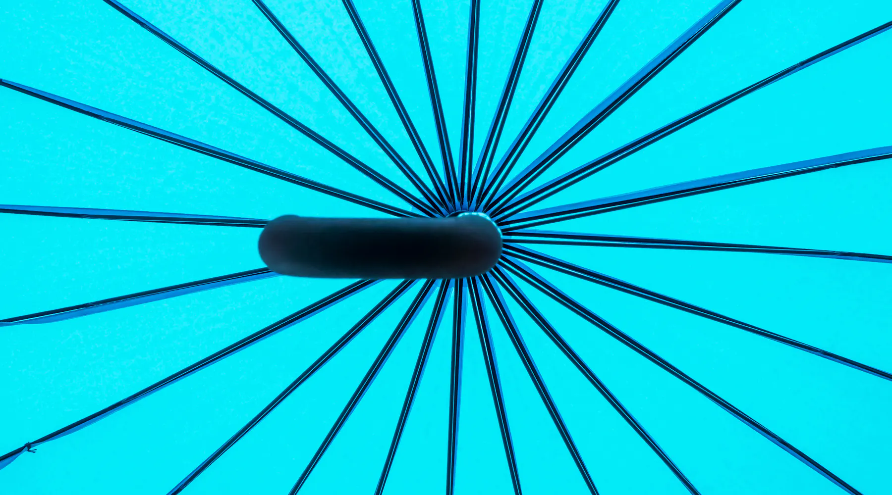 Navigating the Difference: Below vs. Bellow