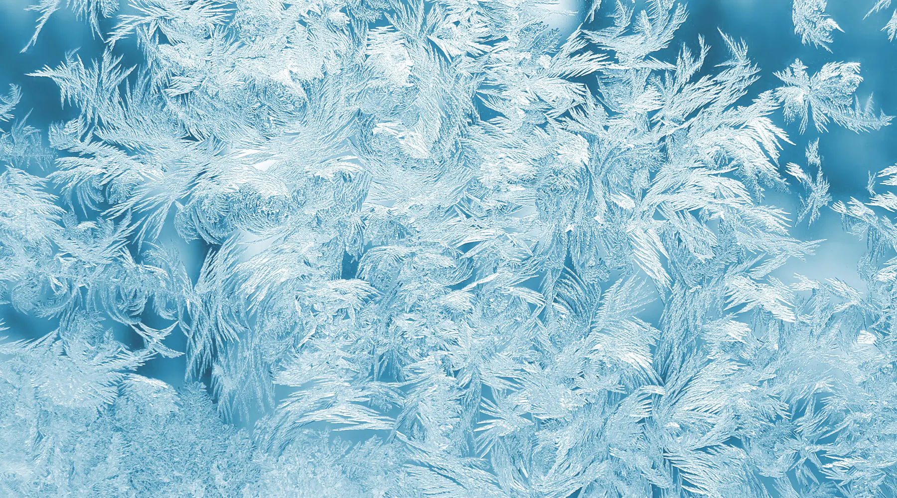 Thank You Everyone vs Thank You All: Expressing Gratitude Effectively