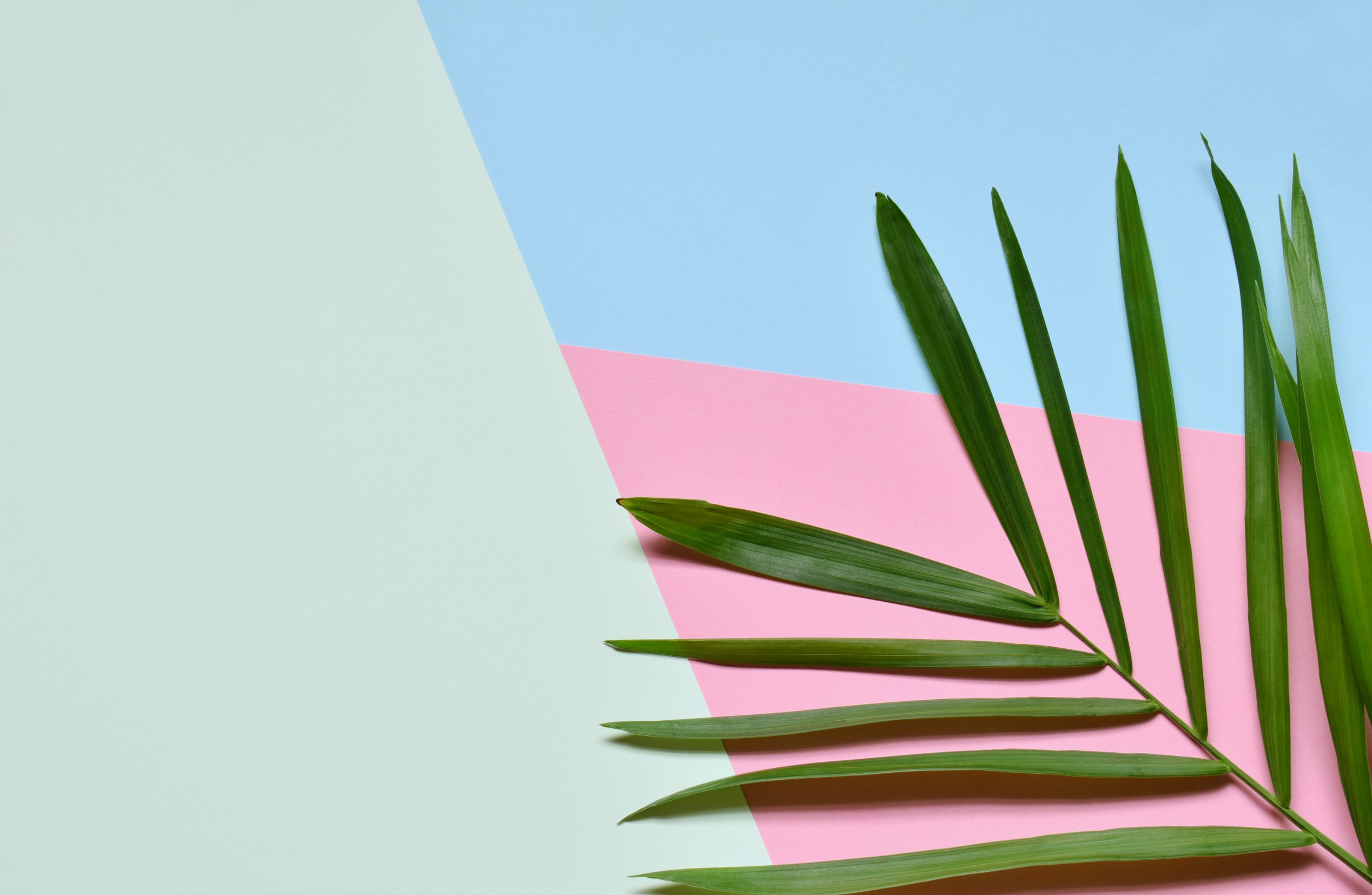 Dive into the World of Five Letter Words with No Vowels!