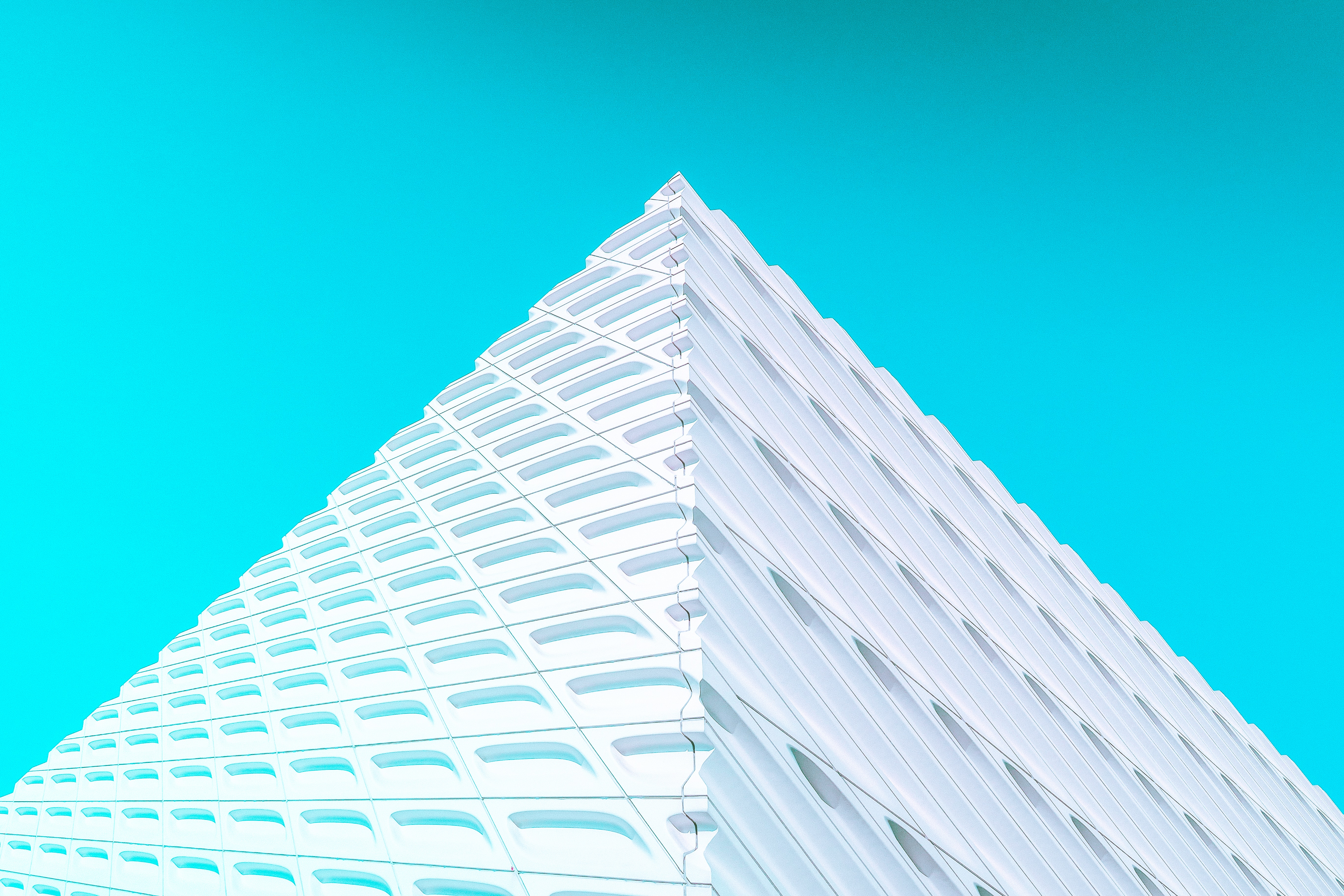 Unlock the Secret: Draft vs. Draught Explained! 