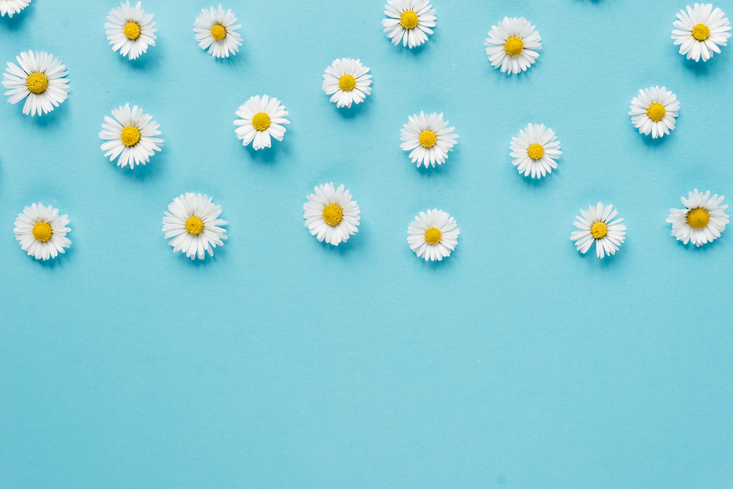 Mastering the Art of Using Quotes in Sentences