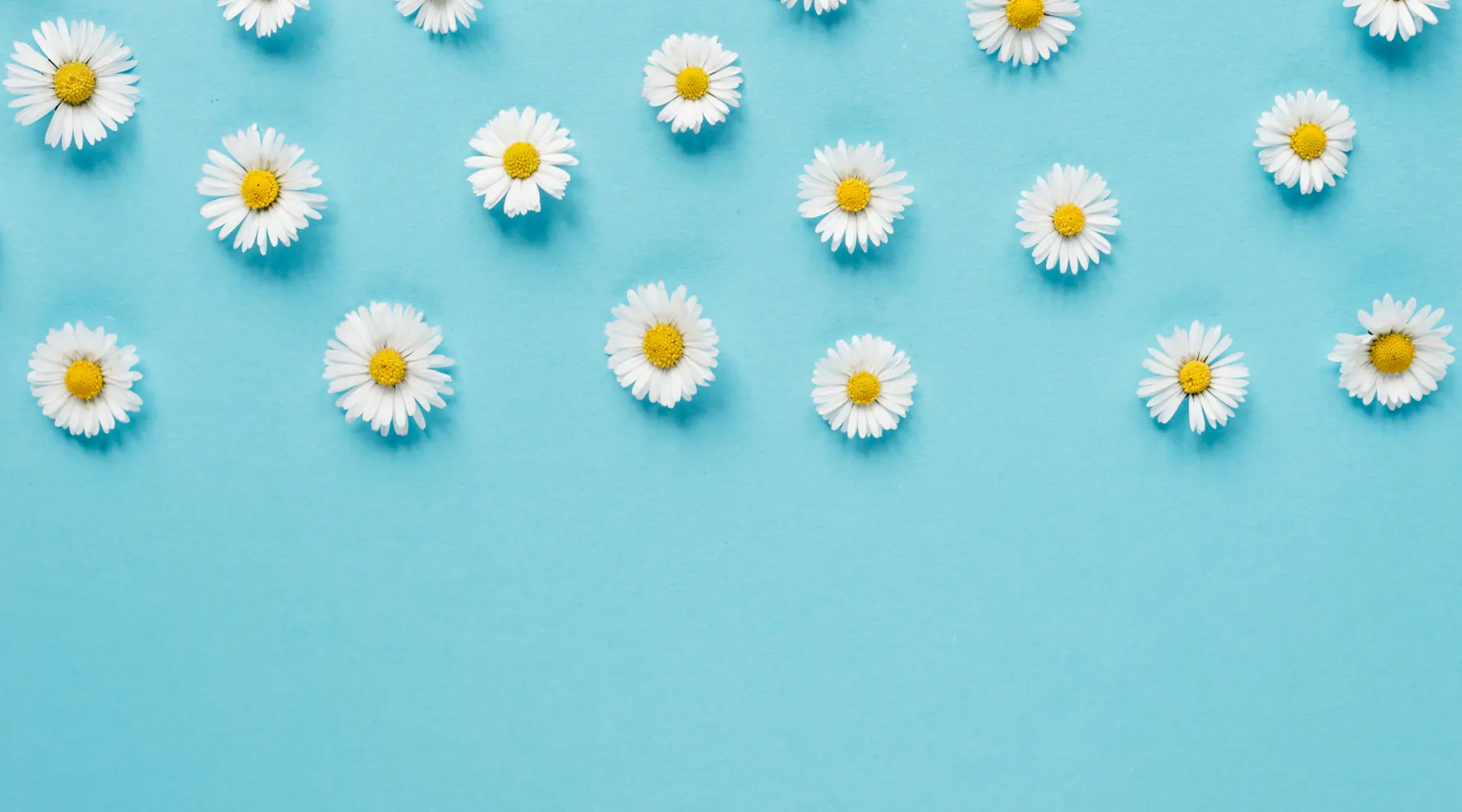 Mastering the Art of Using Quotes in Sentences