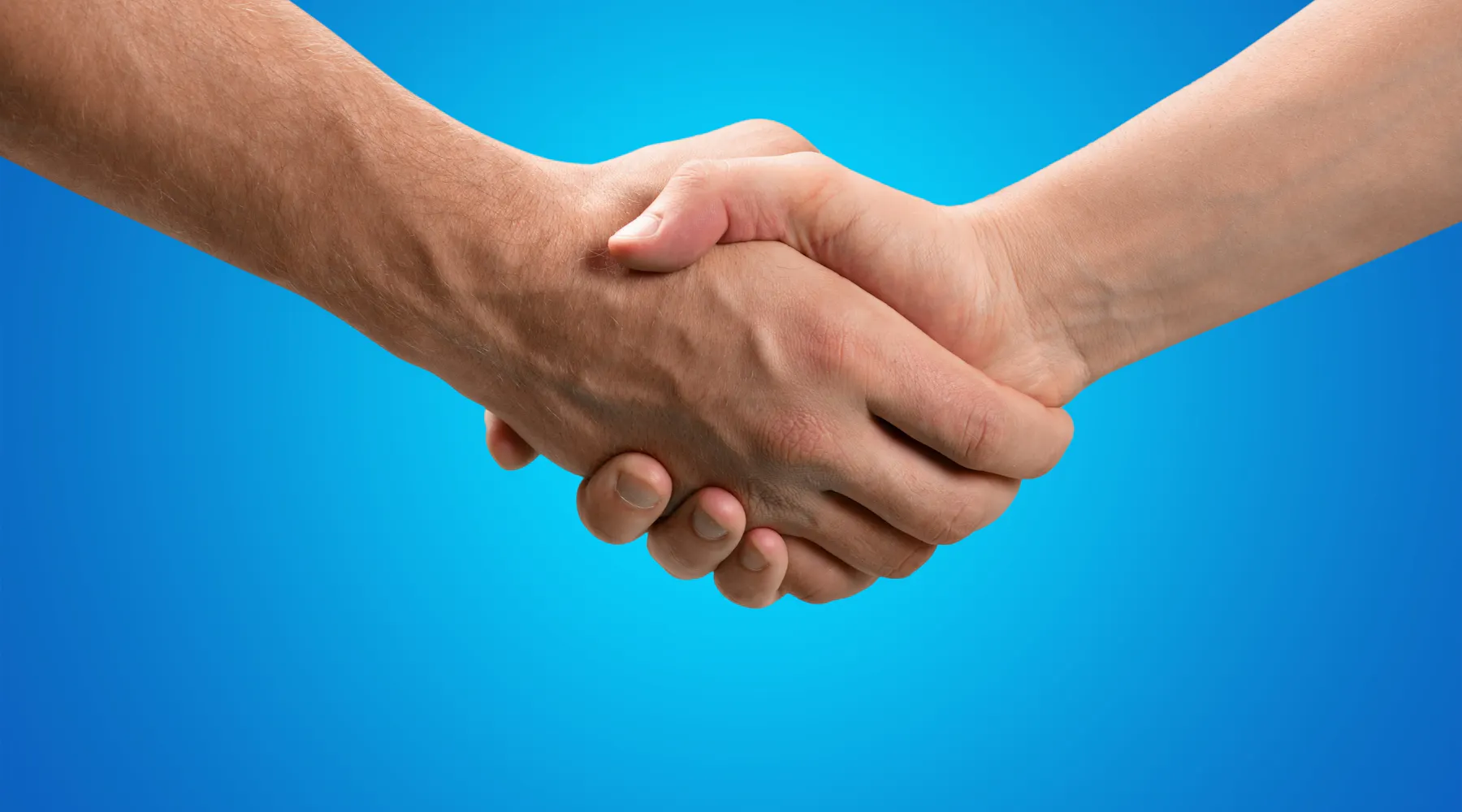 Meat vs Meet: Understanding the Difference