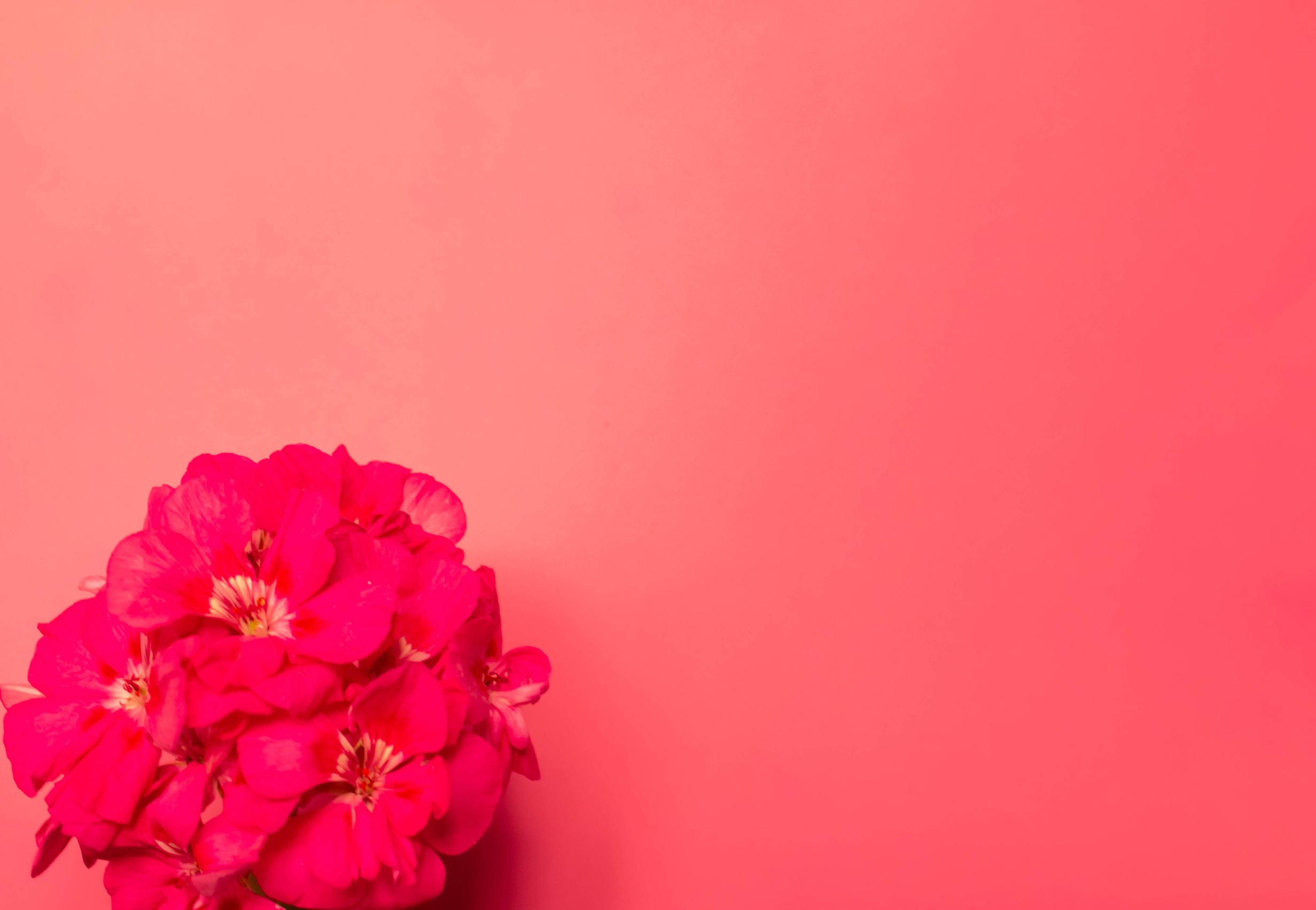 Bougie": A Fun and Easy Guide to Spelling and Usage