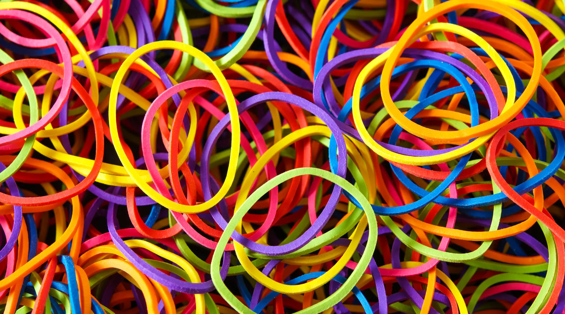 What is a Semordnilap? Everything You Need to Know.