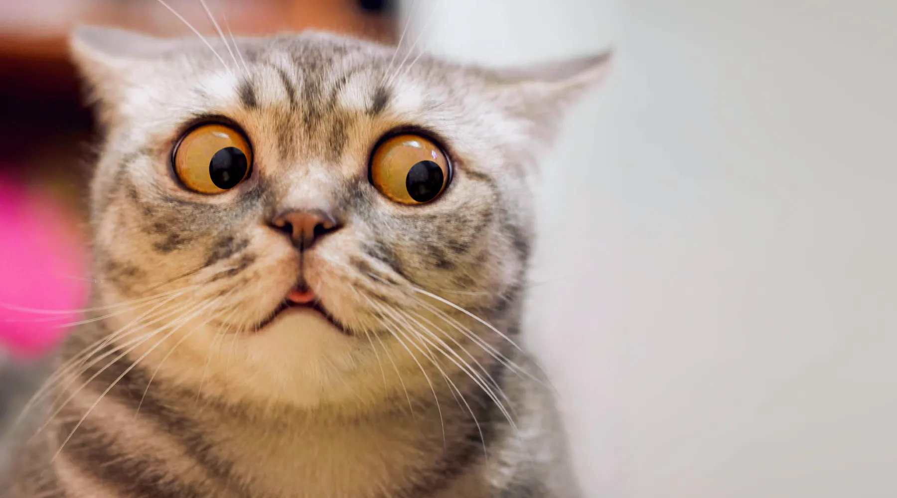 Blog post ideas: 38 useful examples to use today