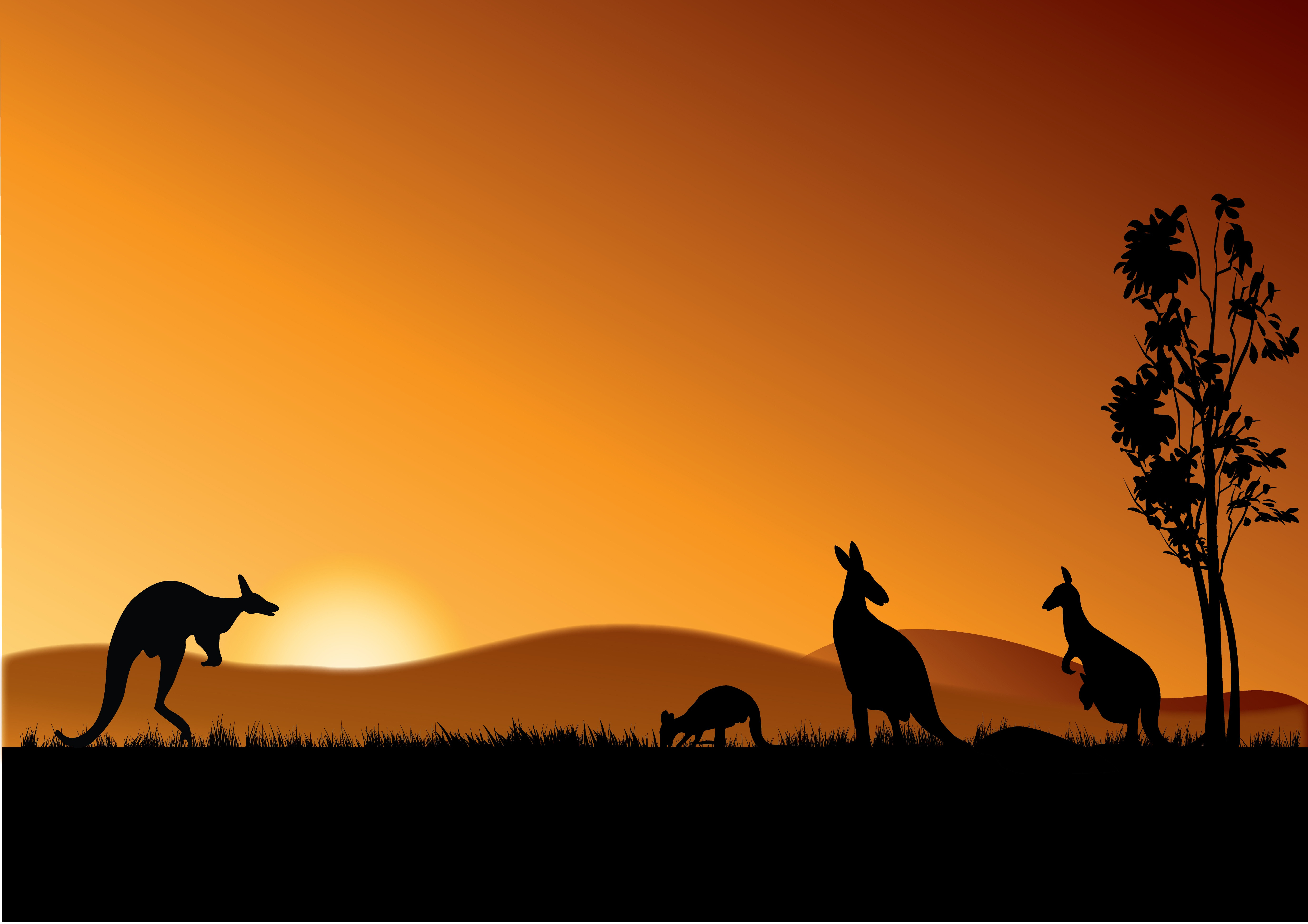 Discover the Vibrant World of Words Starting with 'K'