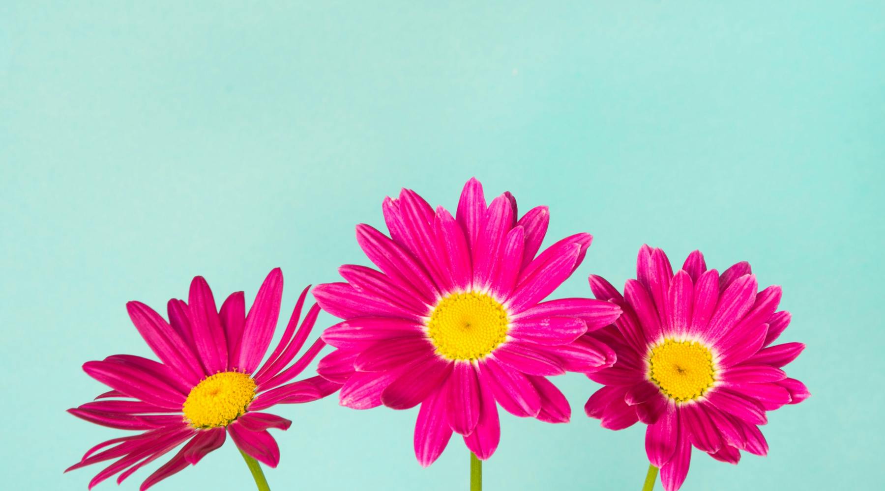 Excel Formatting Guide How To Add Commas To Numbers Excel Formatting Guide How To Add Commas To Numbers