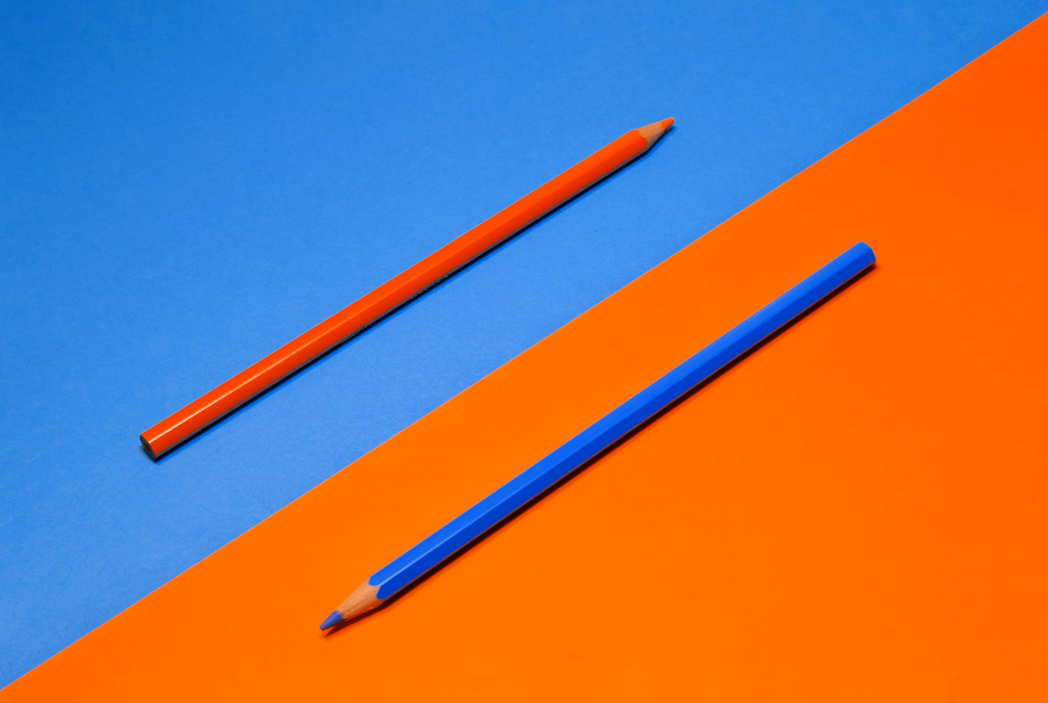 How to argue in an essay